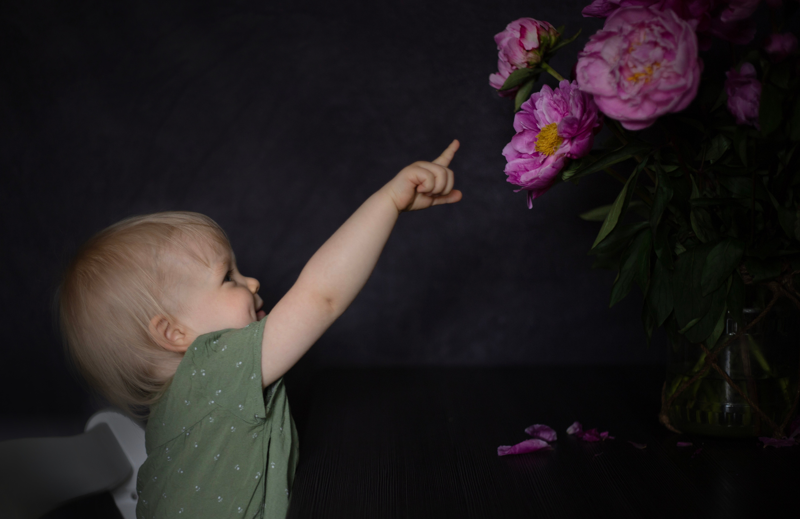 Fotografie zu Hause (mit Blumen. Olena Fritz Fotografie