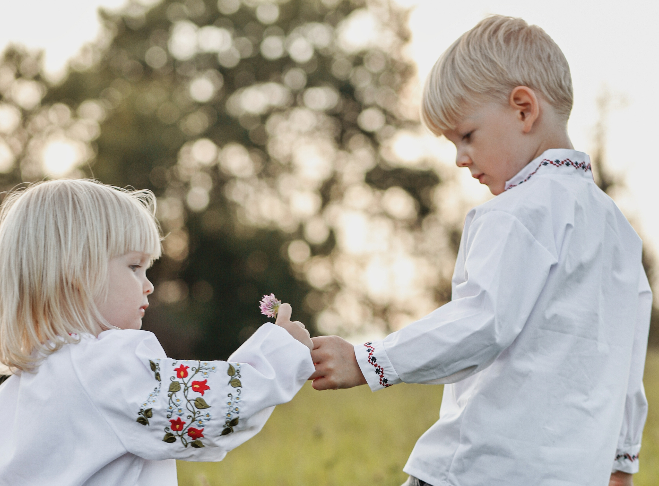 Sommer-Fotografie. Olena Fritz Fotografie