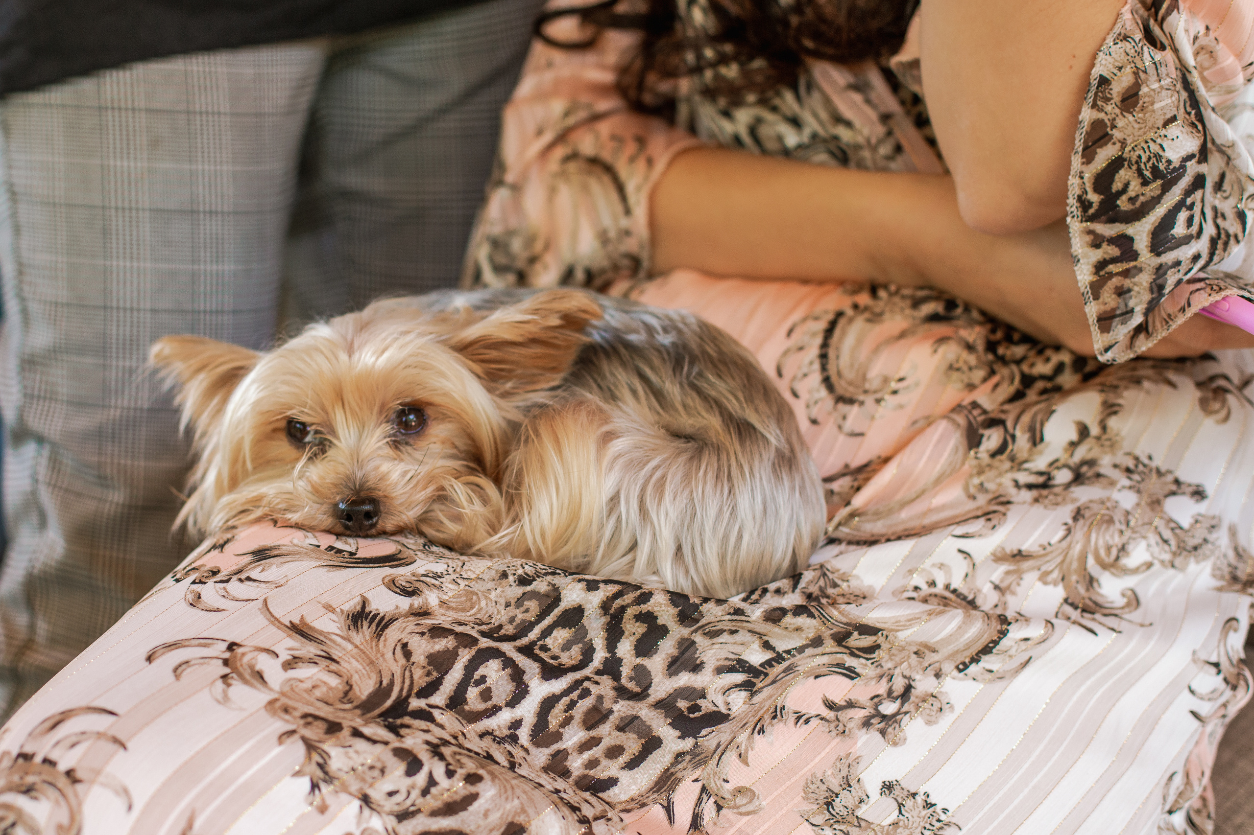 Kenya. Nairobi. Wedding. Wedding female photo and video studio in UAE