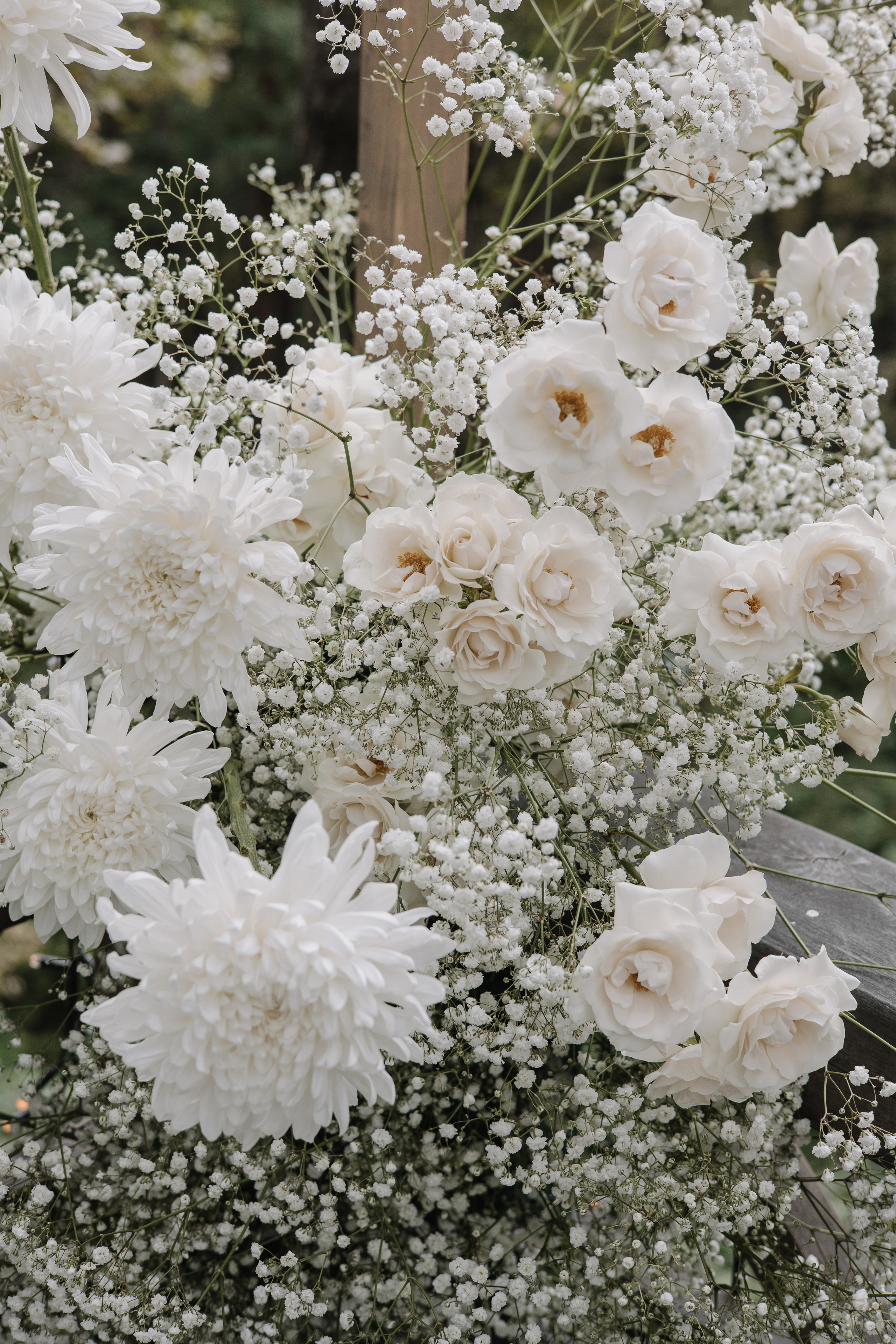 Welna Eco. Wedding photographer Mexico Sayulita Puerto Vallarta Punta Mita Cabo