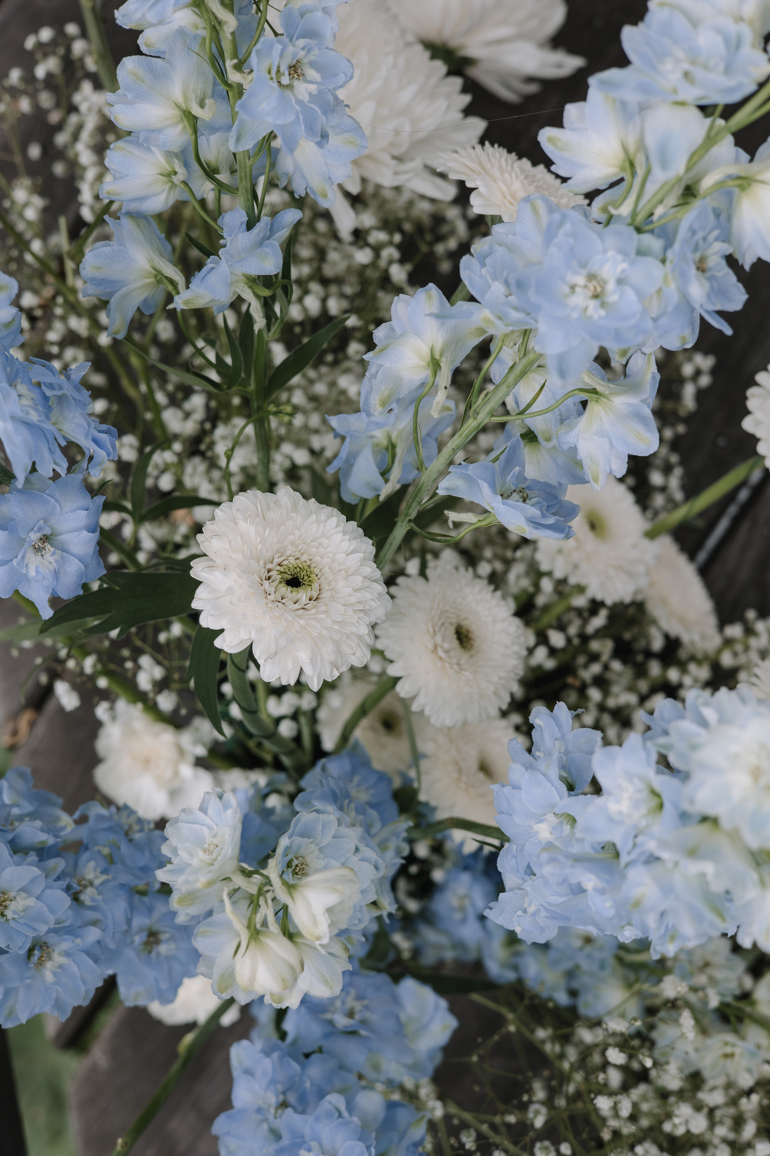 Welna Eco. Wedding photographer Mexico Sayulita Puerto Vallarta Punta Mita Cabo