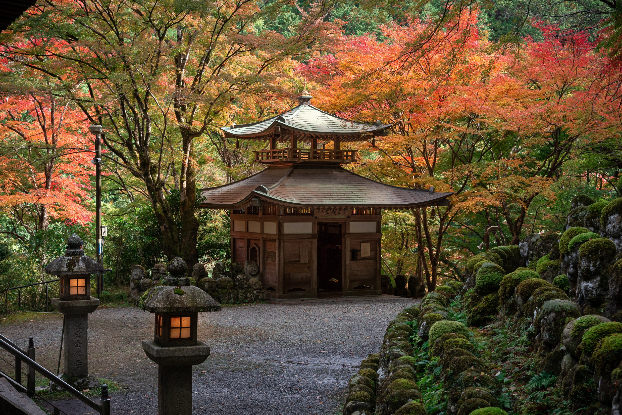 Japan. Marius Ciocan