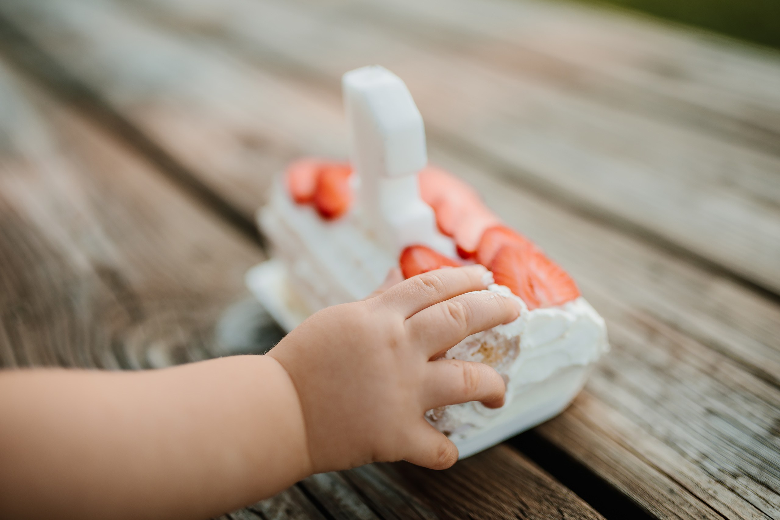 07.08.24 Family Photoshoot. Wedding family event photographer in Chicago Nick Yushevich