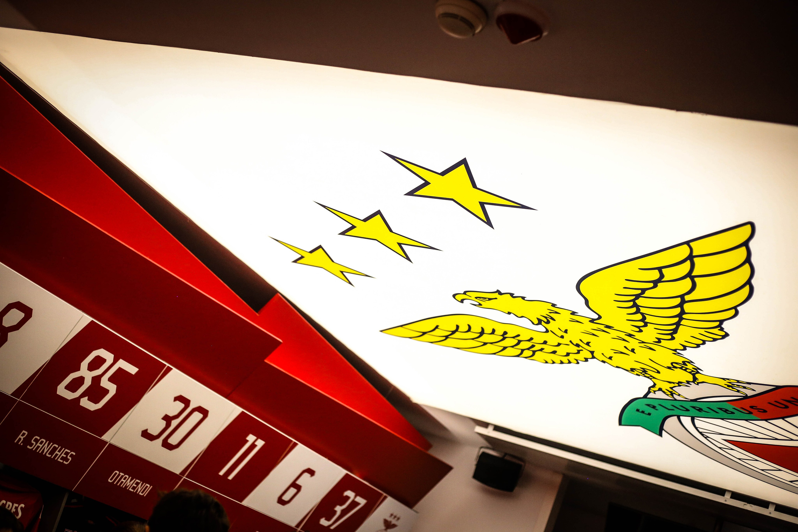 Corporate & Negócios