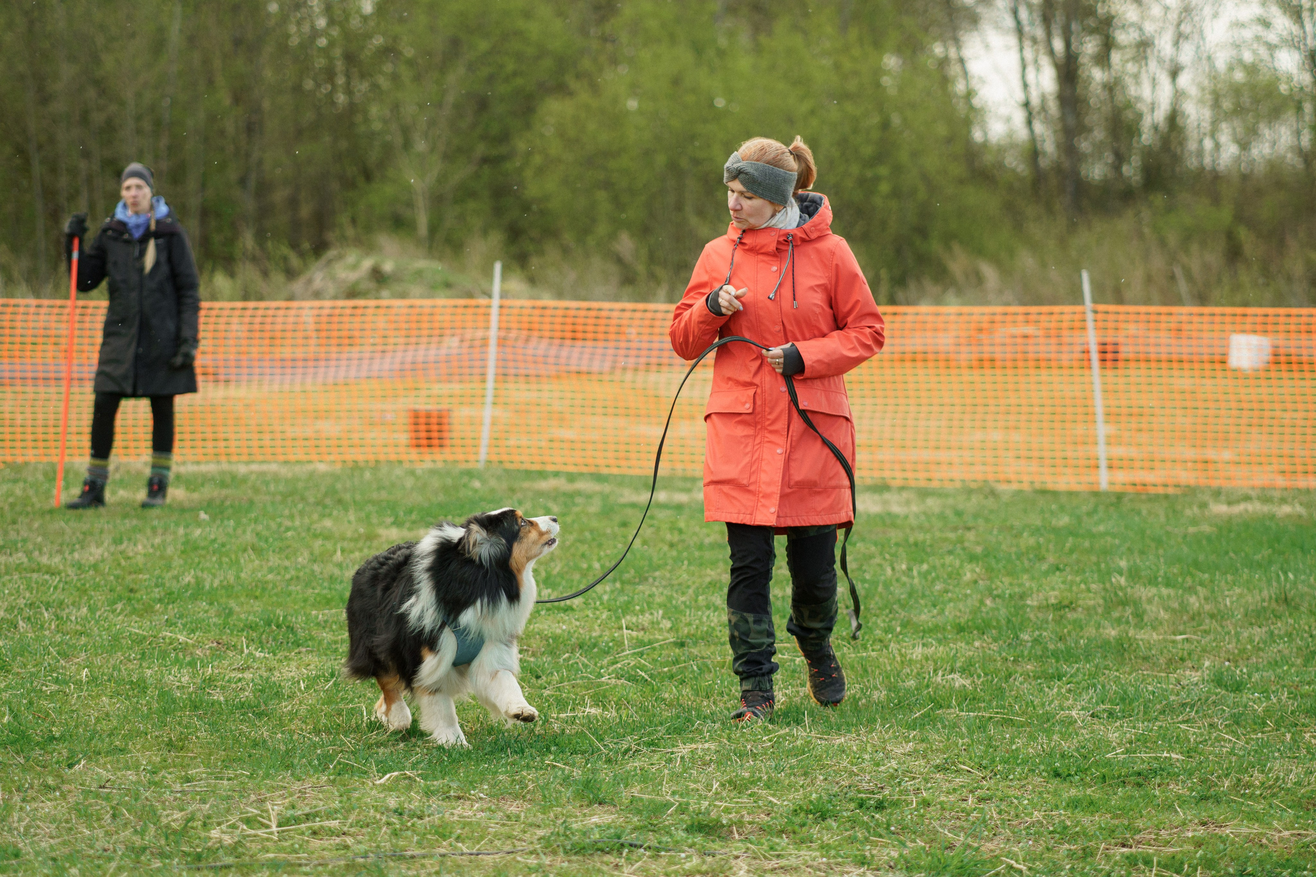 Herding Days, 26 apr. 2025. Kat Laisaar — Pet photographer in Tallinn
