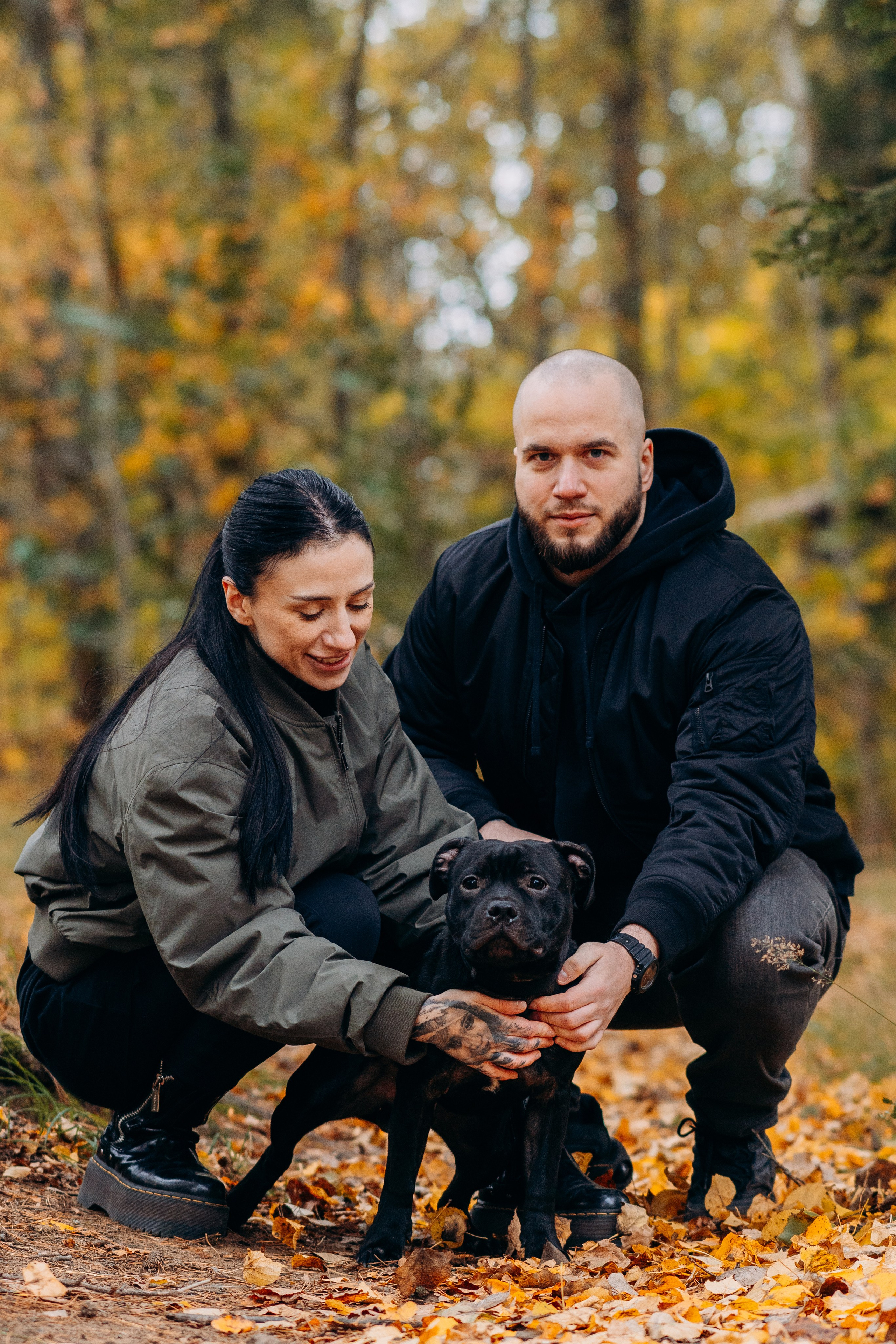 Staffordshire Bull Terriers Meetup. Kat Laisaar — Pet photographer in Tallinn