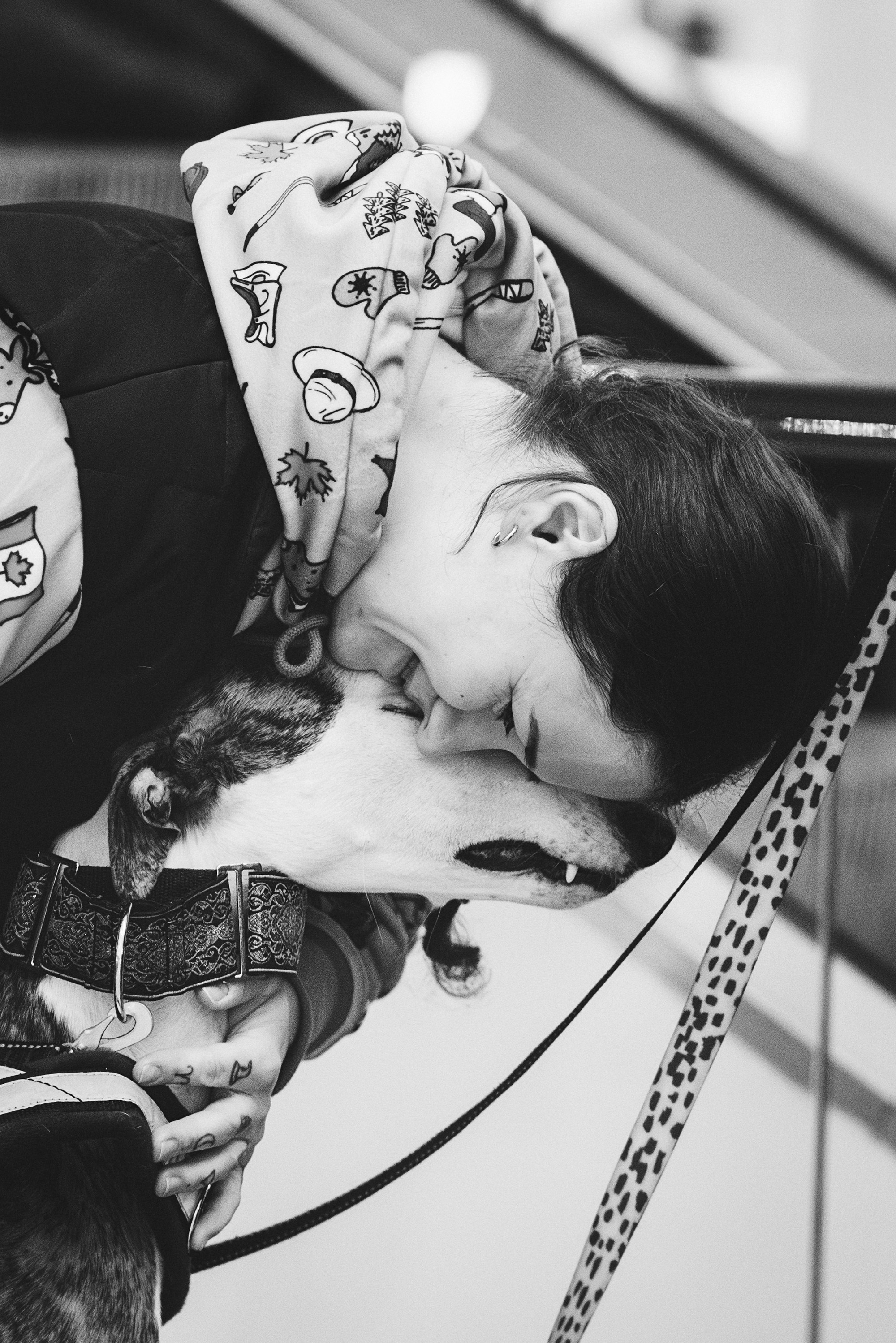 GalgoTreff / Solaris keskus 16 november. Kat Laisaar — Pet photographer in Tallinn