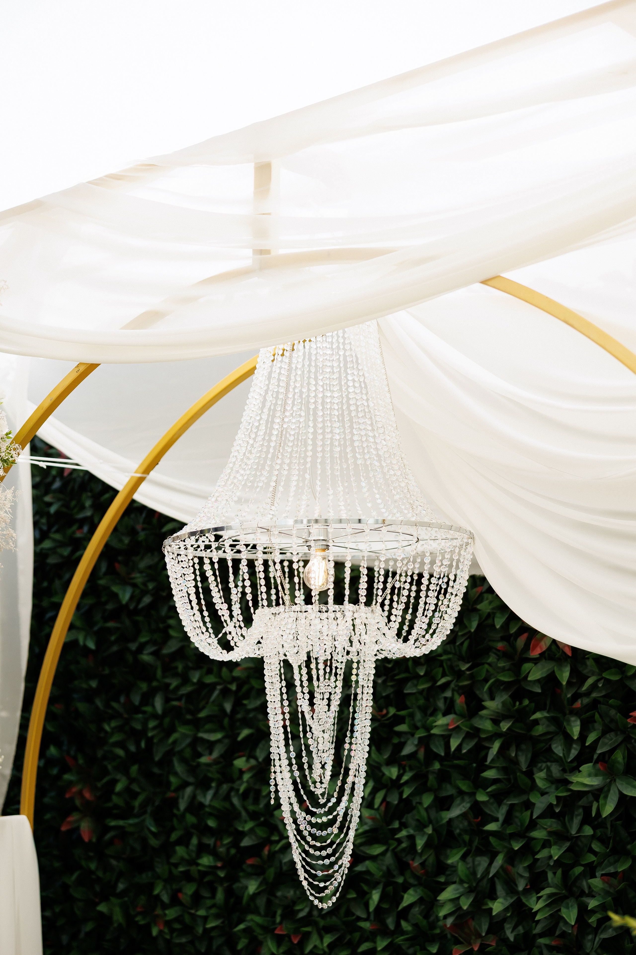 Serghei & Erica — Queen Residence. Servicii Foto și Video 067188353