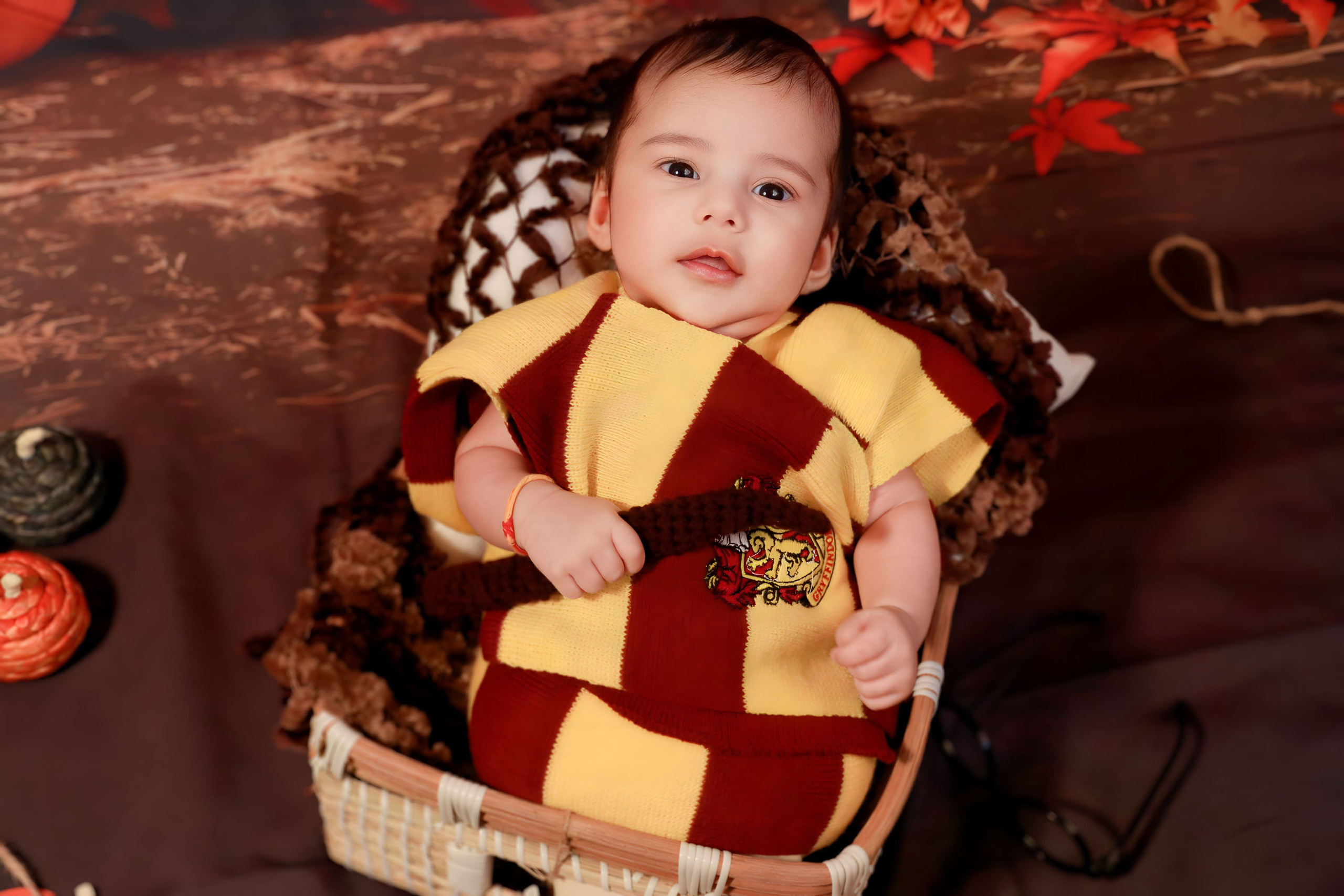 Harry Potter. AP Lens Photography | Newborn, Maternity, Milestone & Family Photographer Little Elm TX