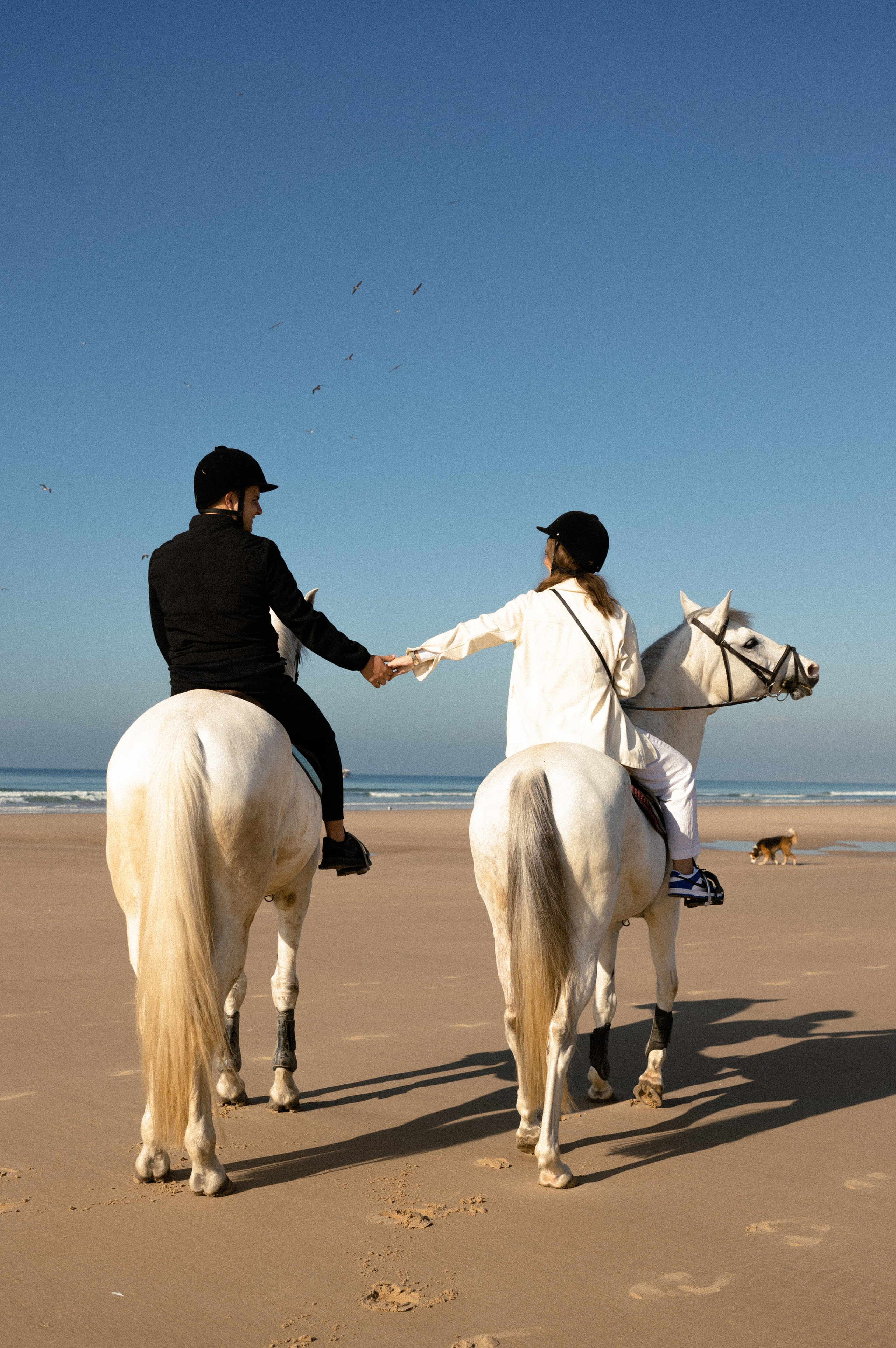 Dream. Wedding and commercial photographer