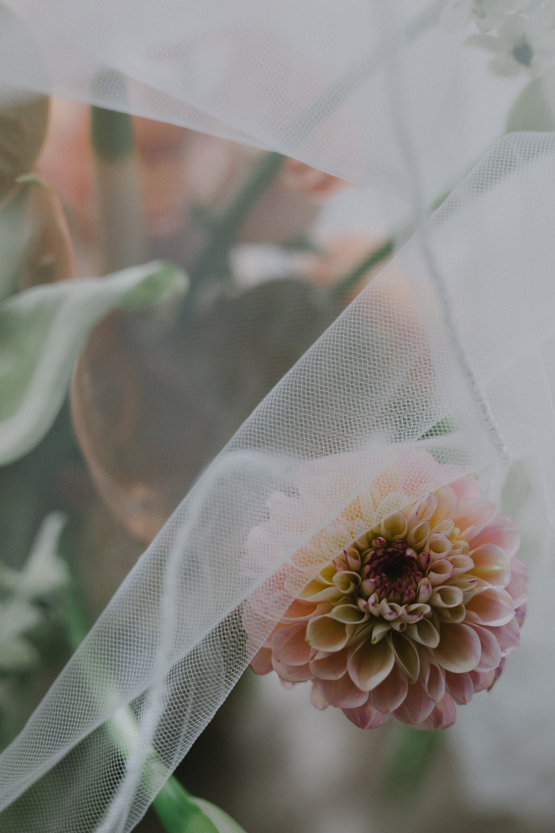свадебный фотограф Грузия свадебный фотограф Тбилиси wedding photographer georgia wedding photographer Tbilisi 
