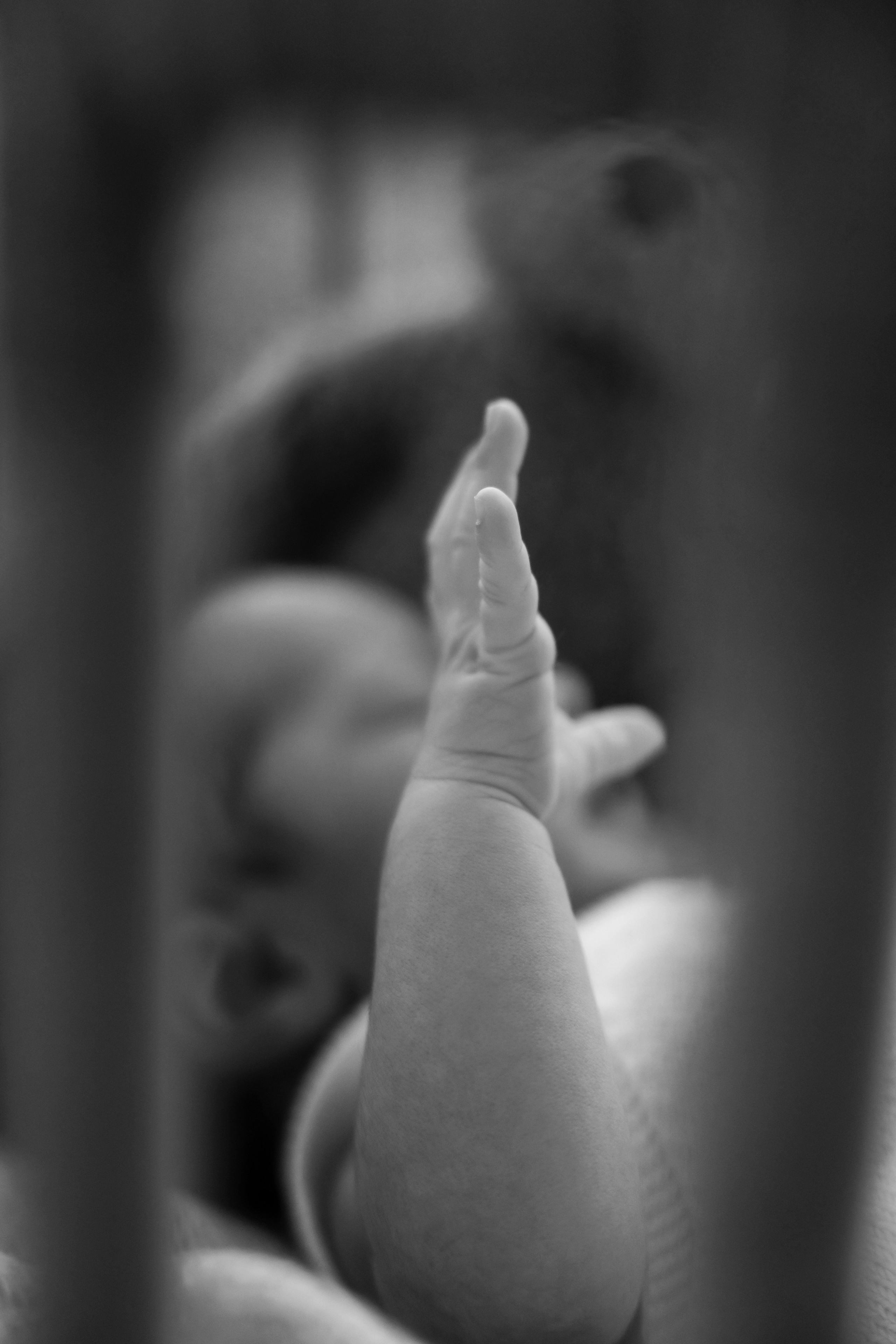 Бебешка фотосесия. Фотограф Ирина Йотова