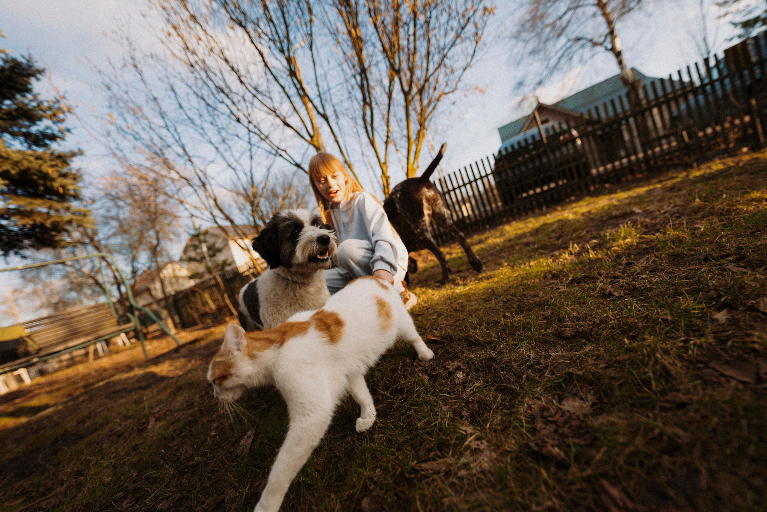 2025. Стрит-фотография, полная абсурда, идиотизма и красоты