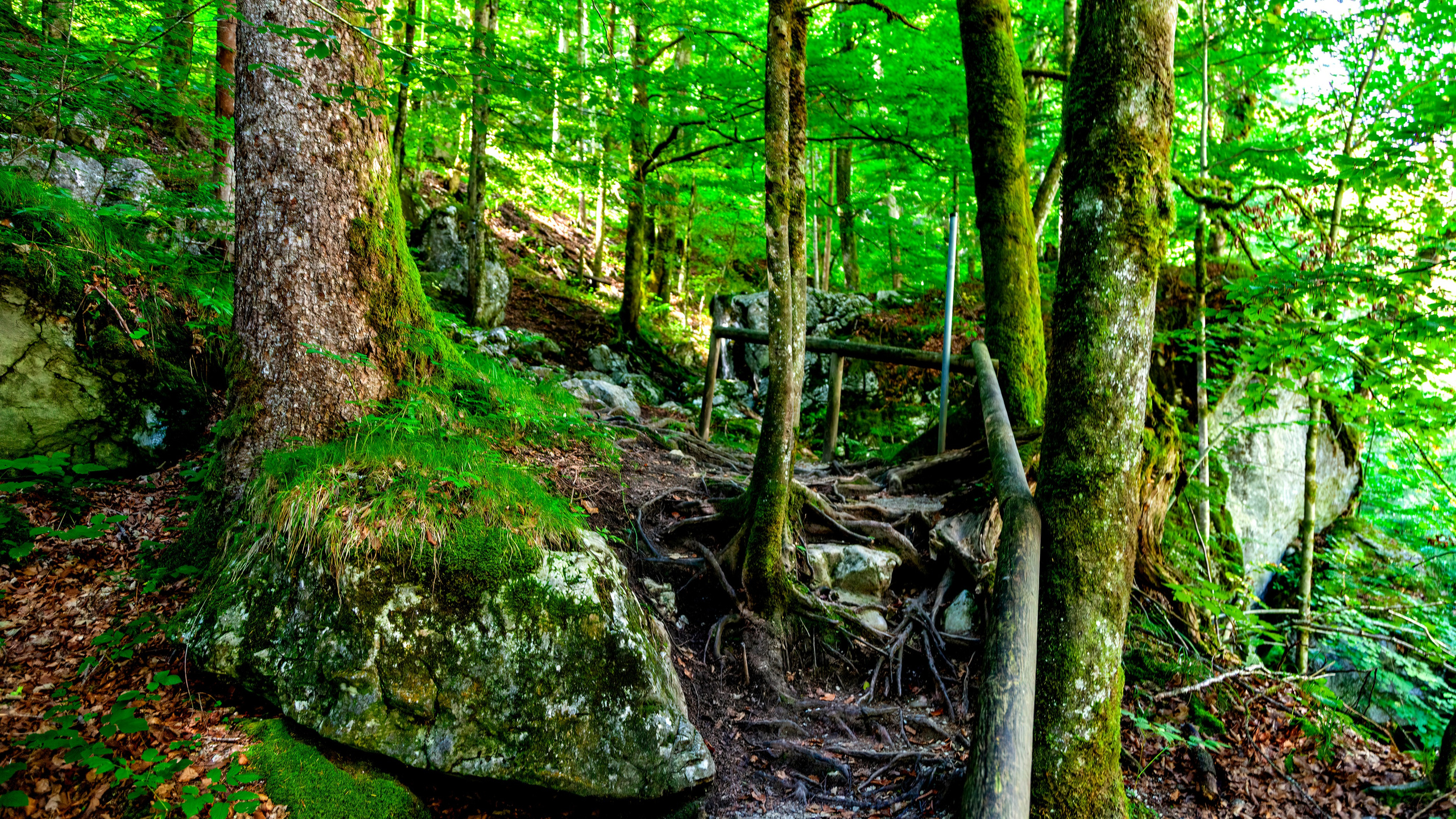 195.Nothklamm.Austria.20.8.2025. Путешествия в формате 360......