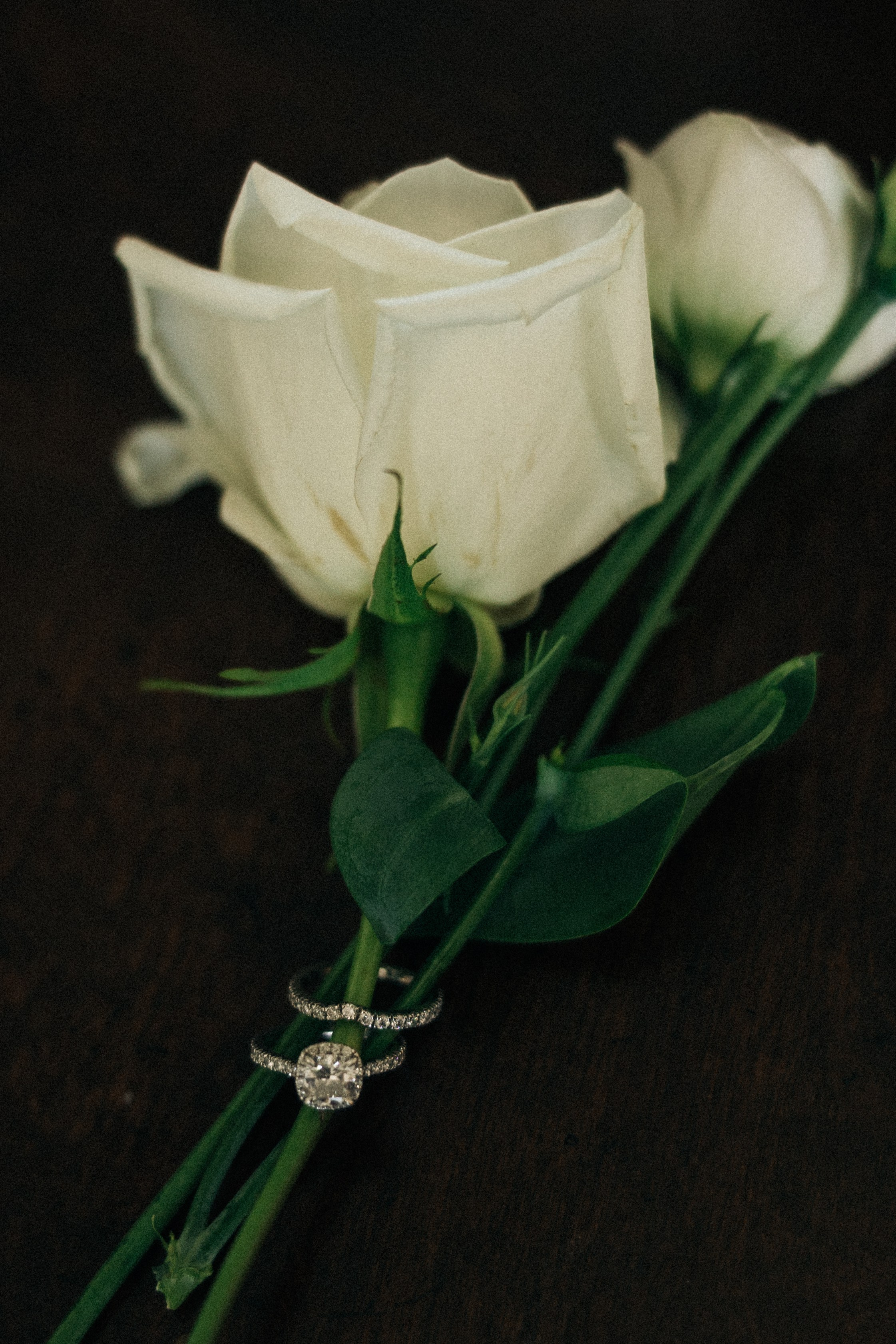 Wedding Julia&Aaron. Sara Eulalia | Virginia Photographer