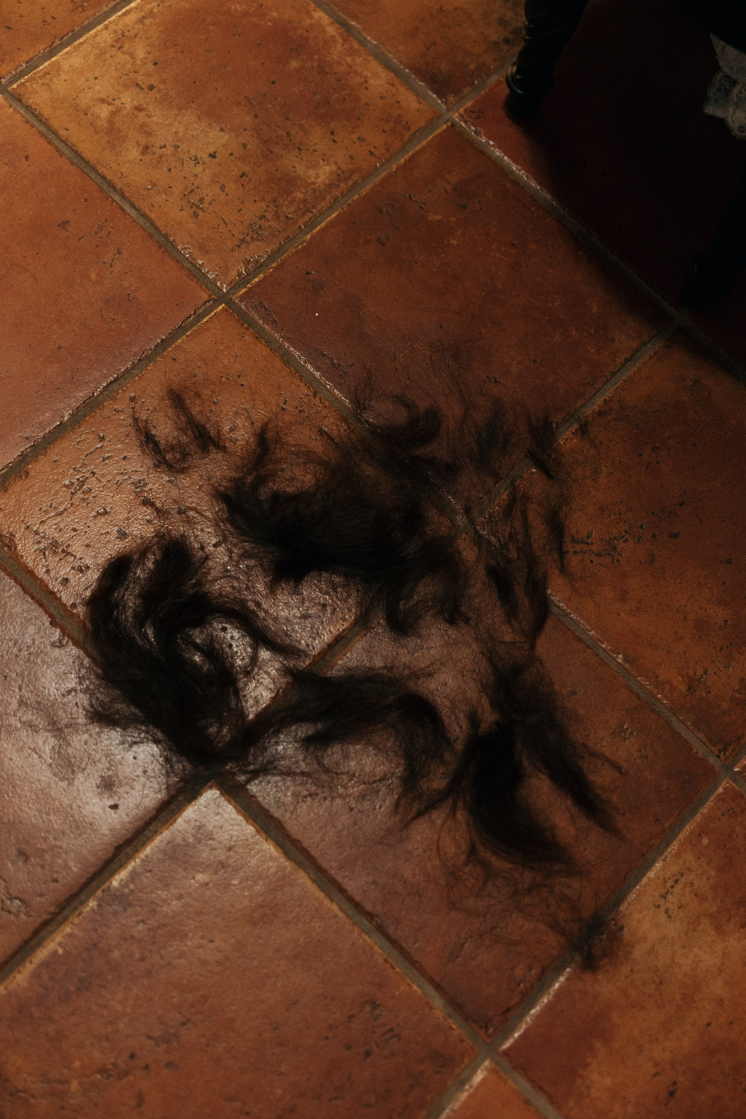 Wedding Julia&Aaron. Sara Eulalia | Virginia Photographer