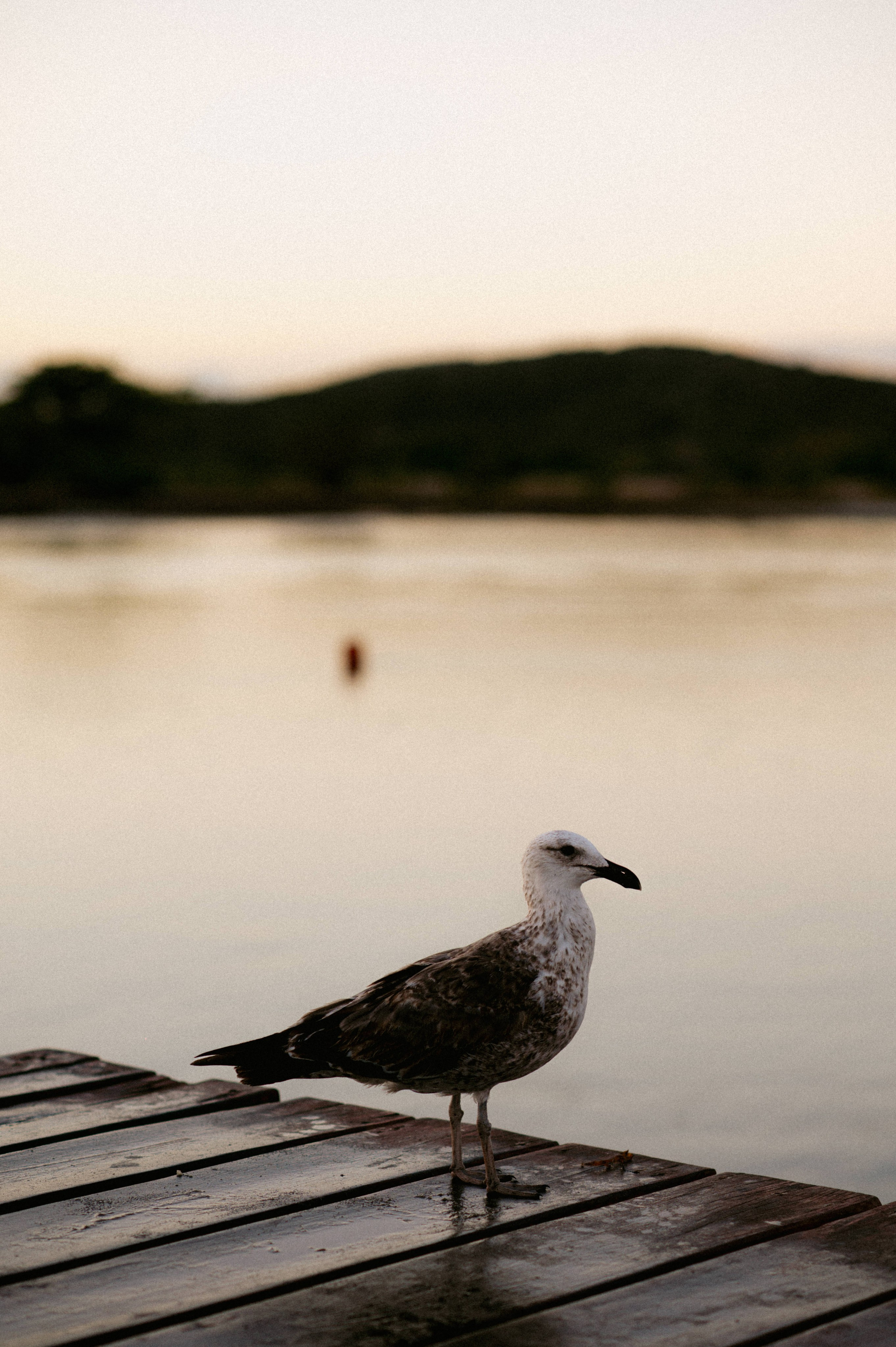 Lifestyle. Cativante Fotografia