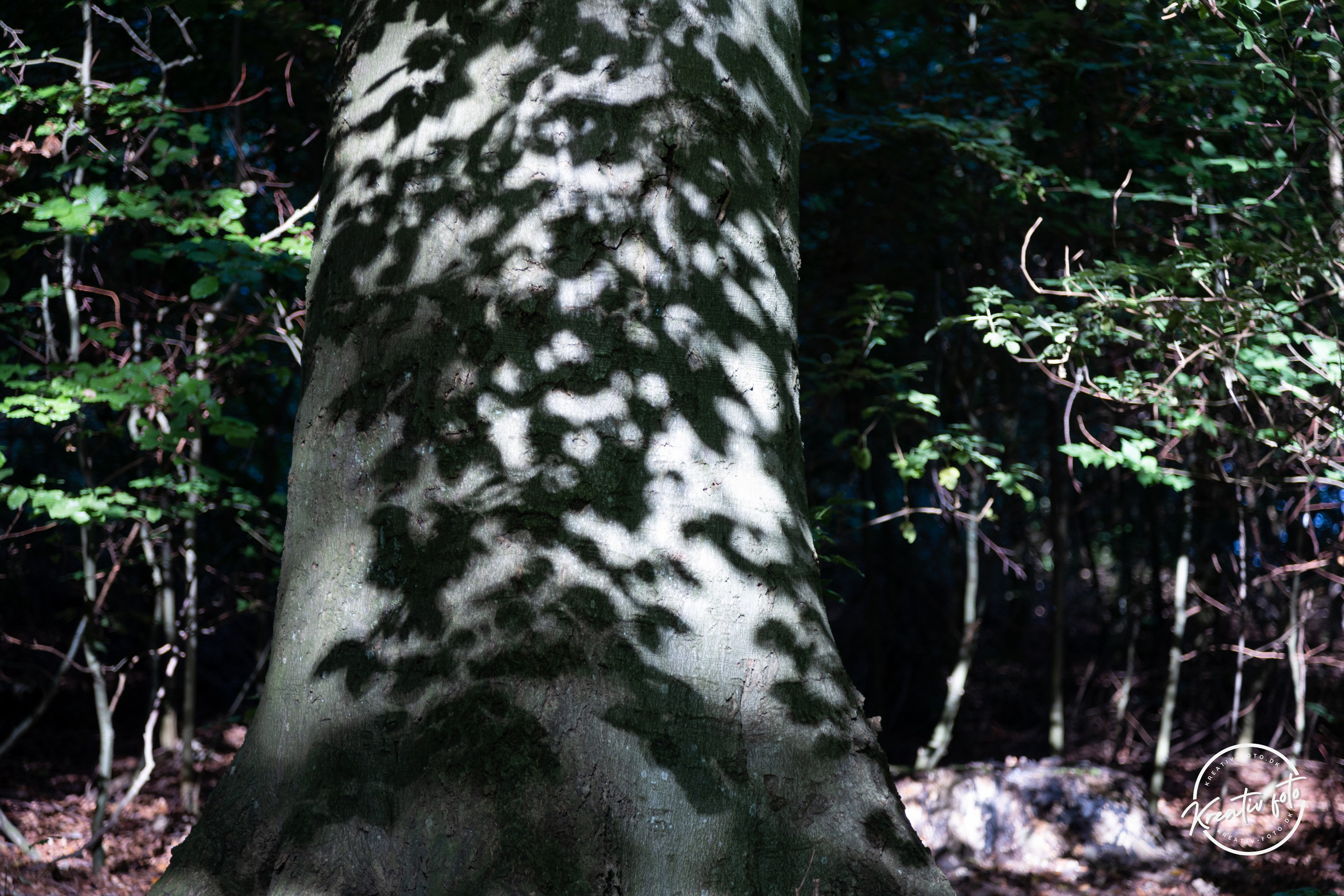 Sommer. Fotograf Aarhus | Portrætfoto Århus | Flotte billeder