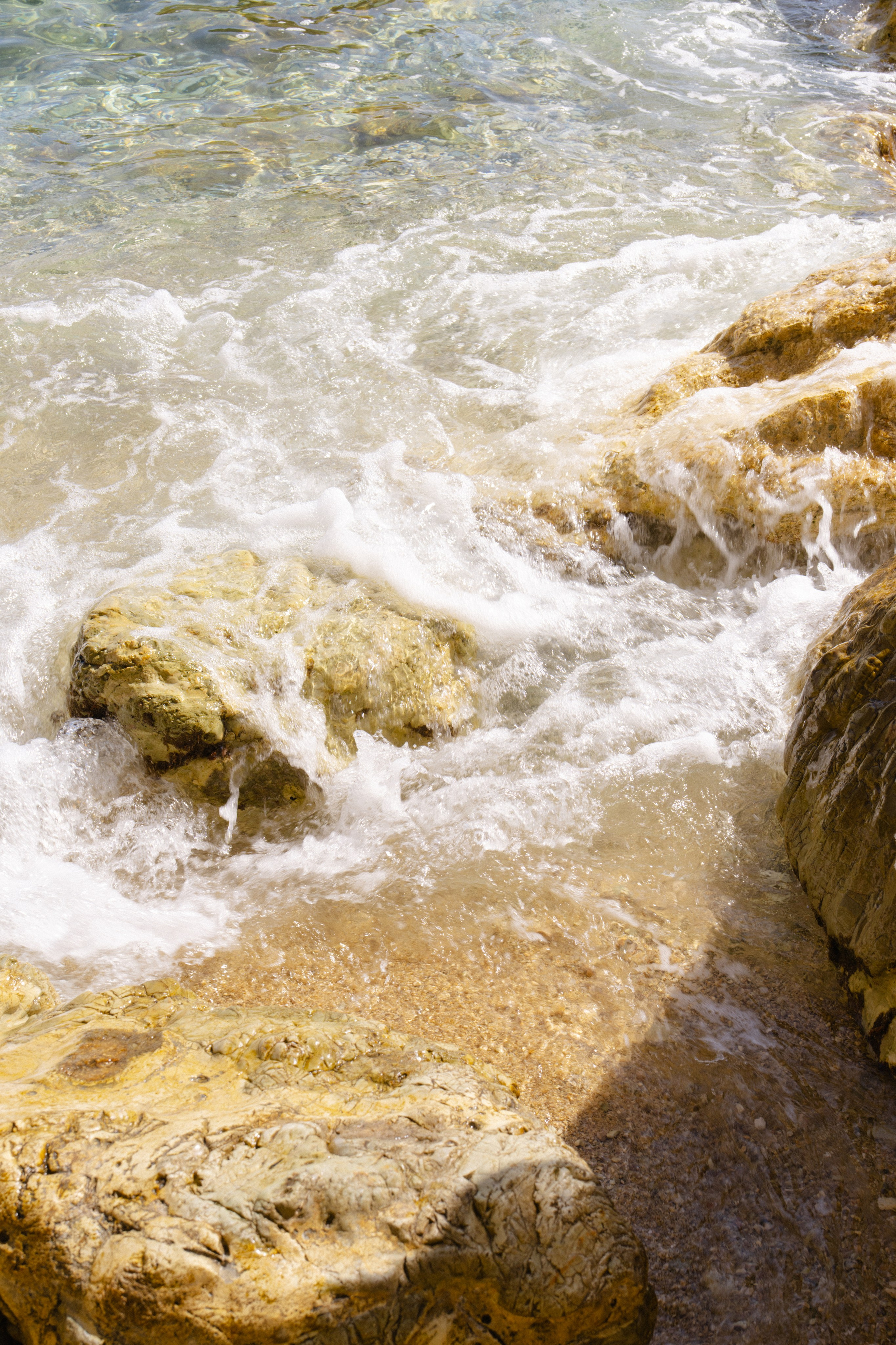 Nunta. Mihai Padurariu - fotograf