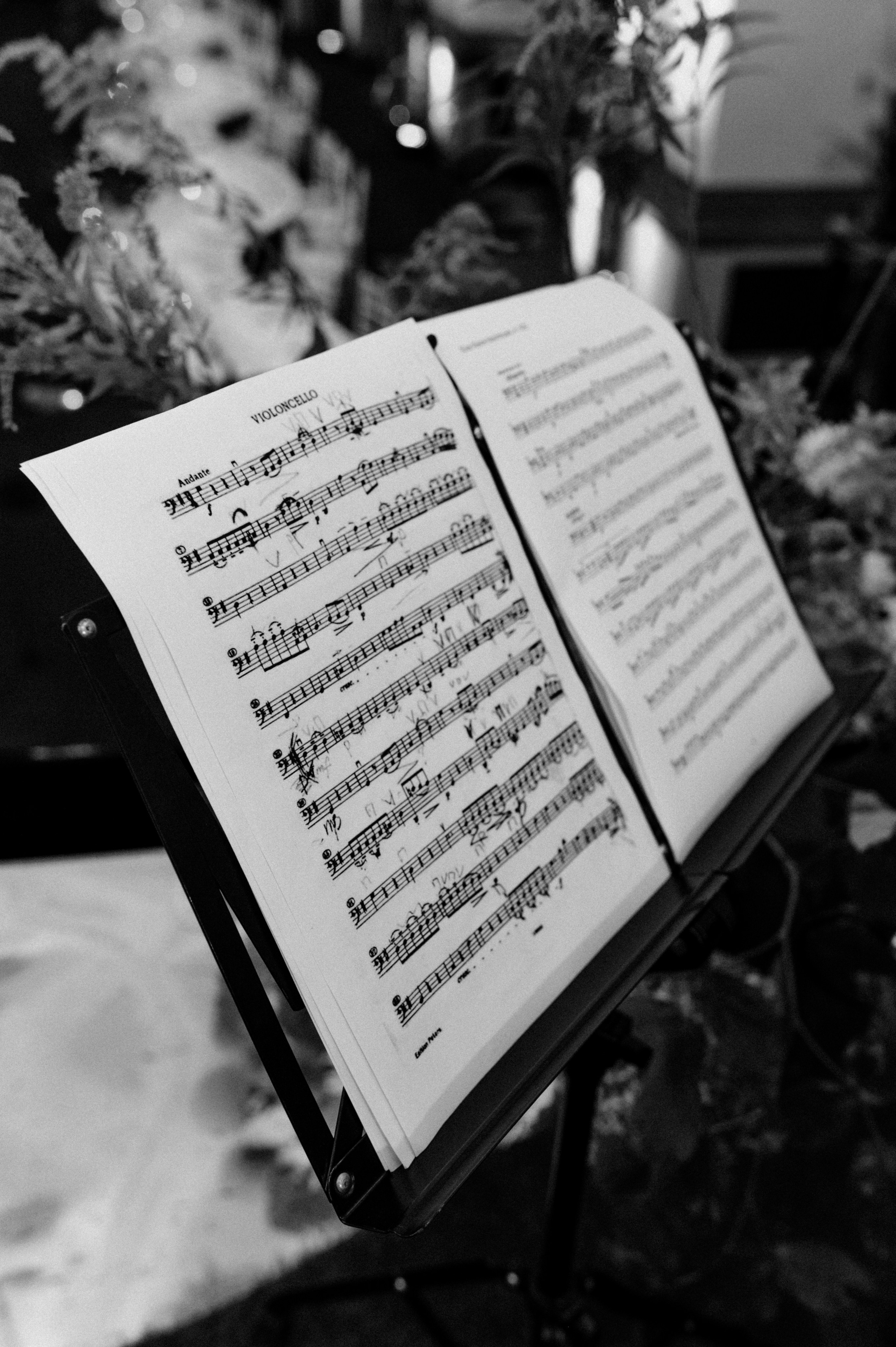 BRIDAL FASHION SHOW 2023. Destination Wedding photographer Italy, France, Germany, Spain, Poland Oleg Zaicev