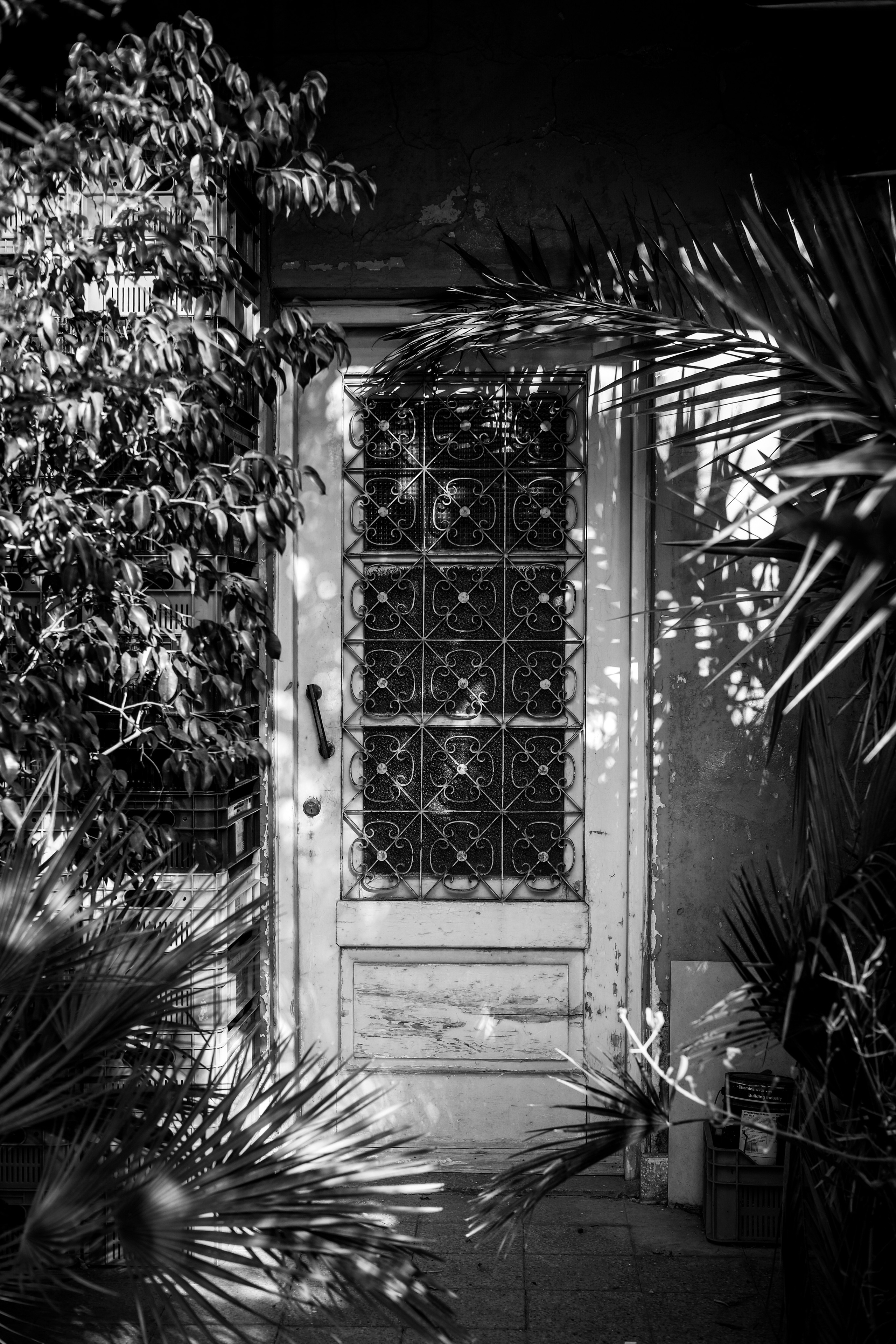 Capturing Life in Black and White - Candid Street Photography