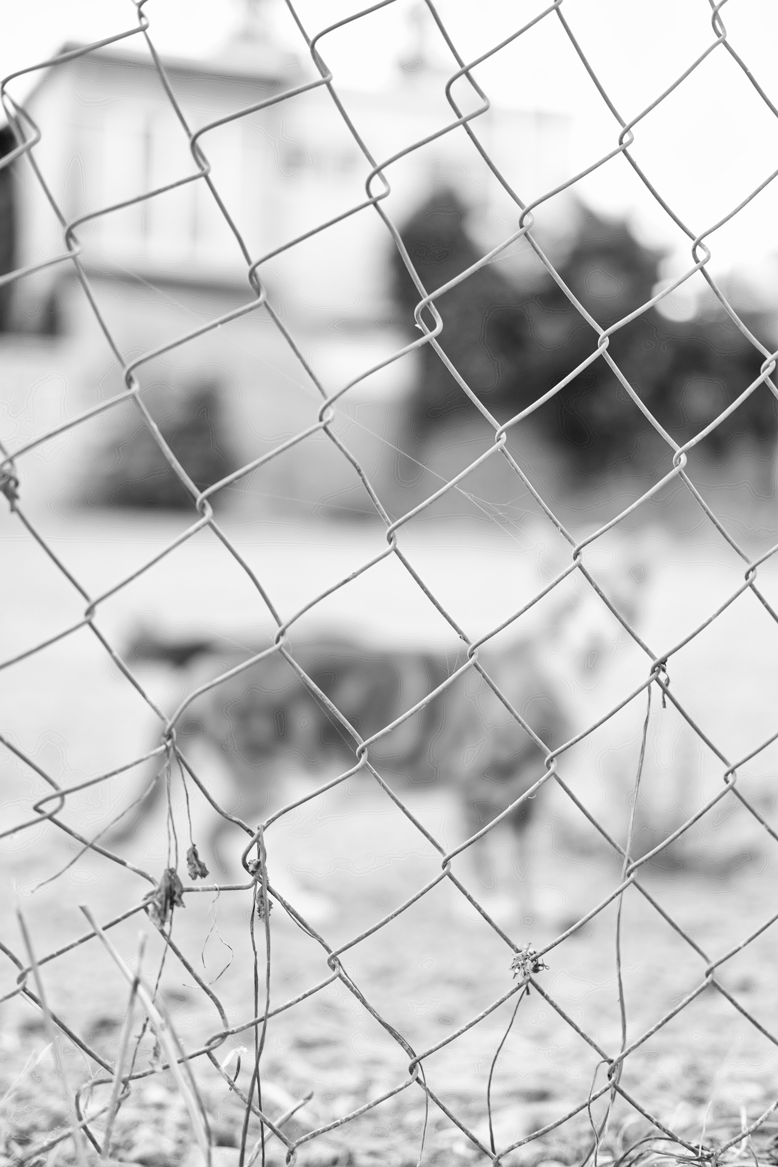 Capturing Life in Black and White - Candid Street Photography