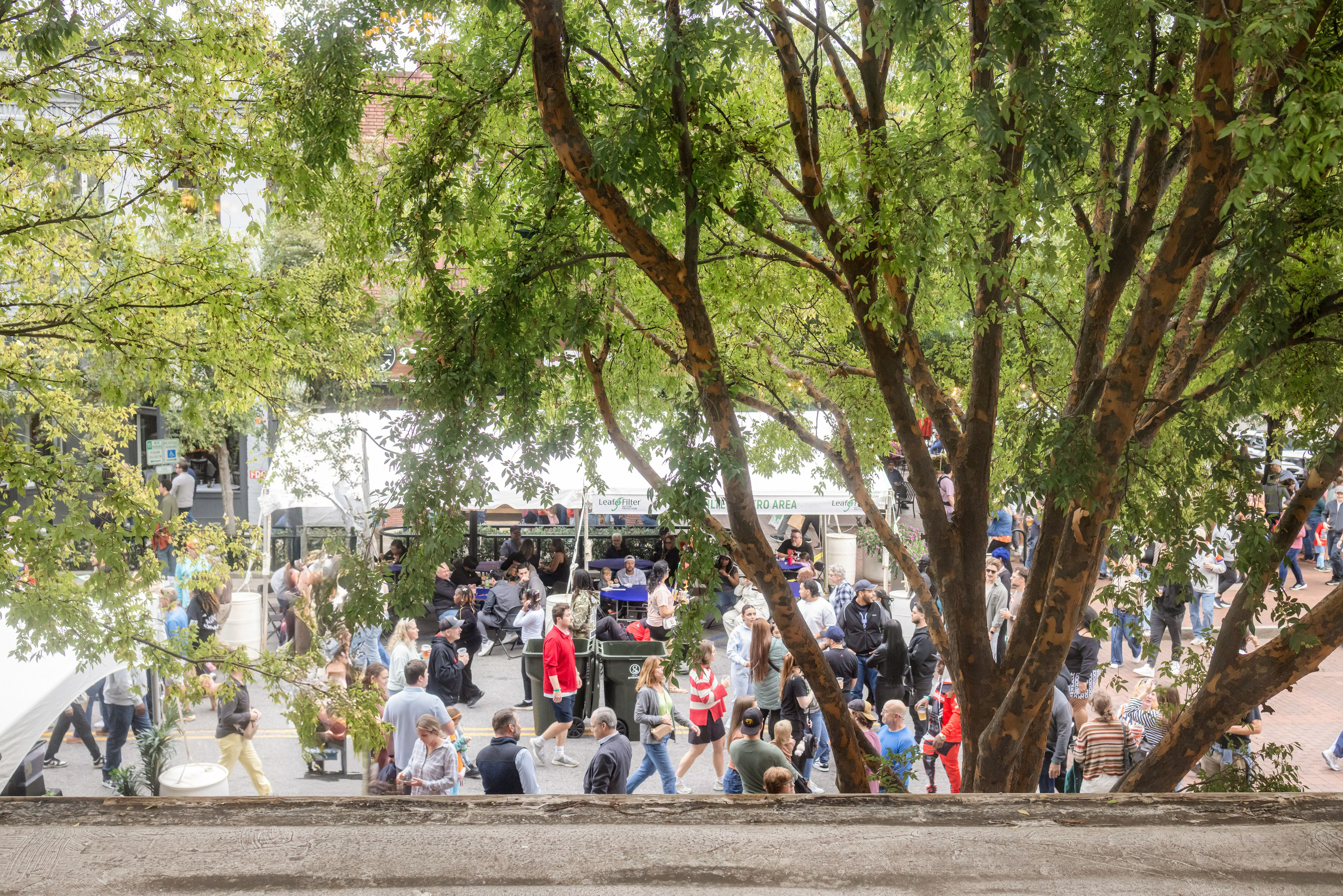 Westin Poinsett Wedding in Downtown Greenville | Brooke & Mike’s Elegant City Celebration. Wedding and portrait photography in Greenville SC