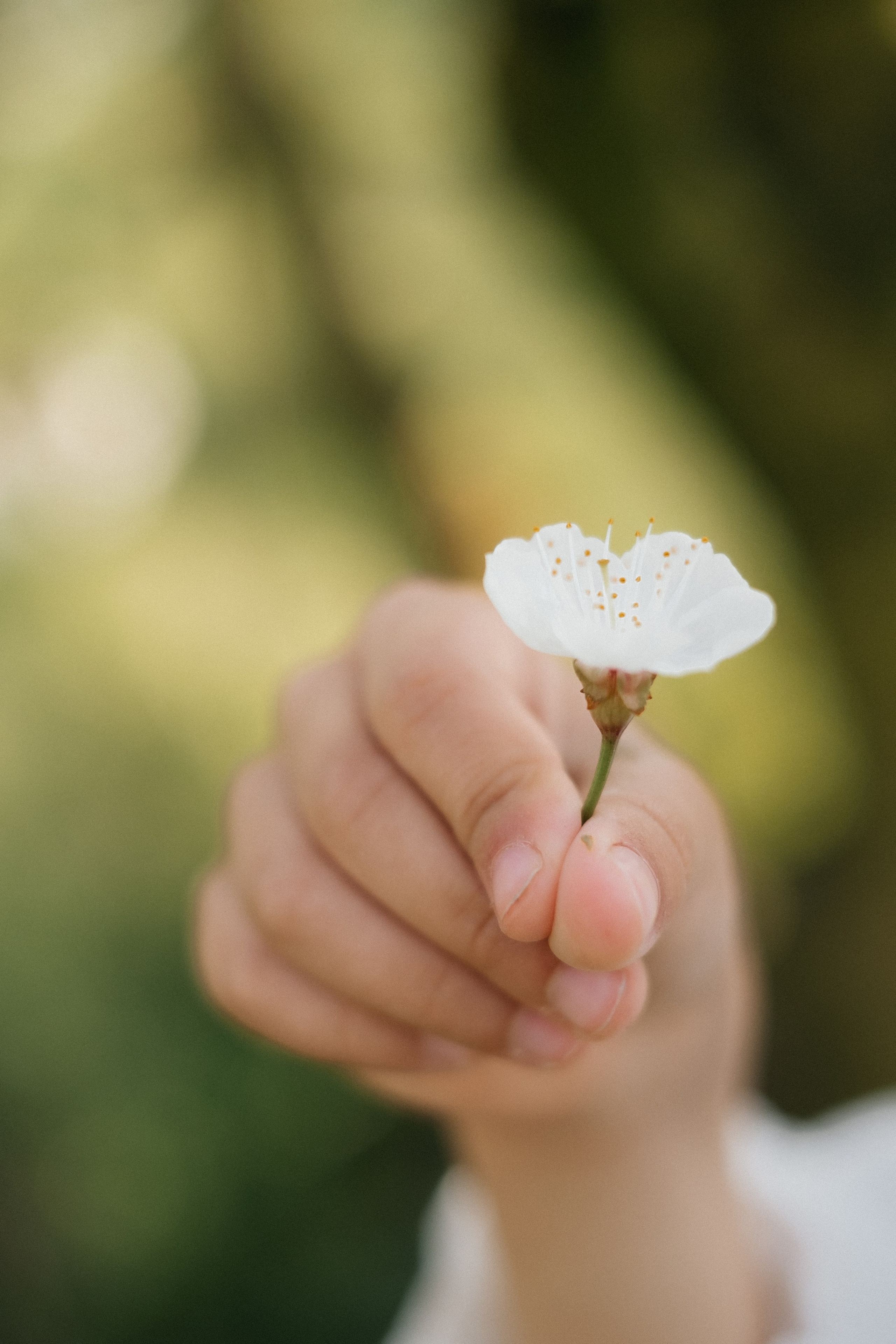 🌸🌸🌸. Fotografa Rimini