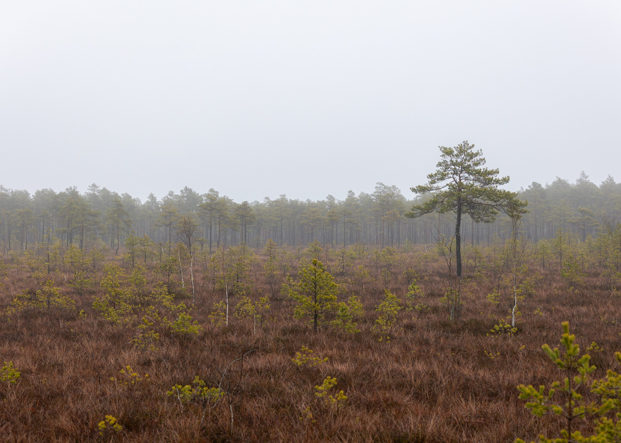 Dažādas fotogrāfijas. Sajūtu un mirkļu fotogrāfs no Rīgas, Mārtiņš Babris