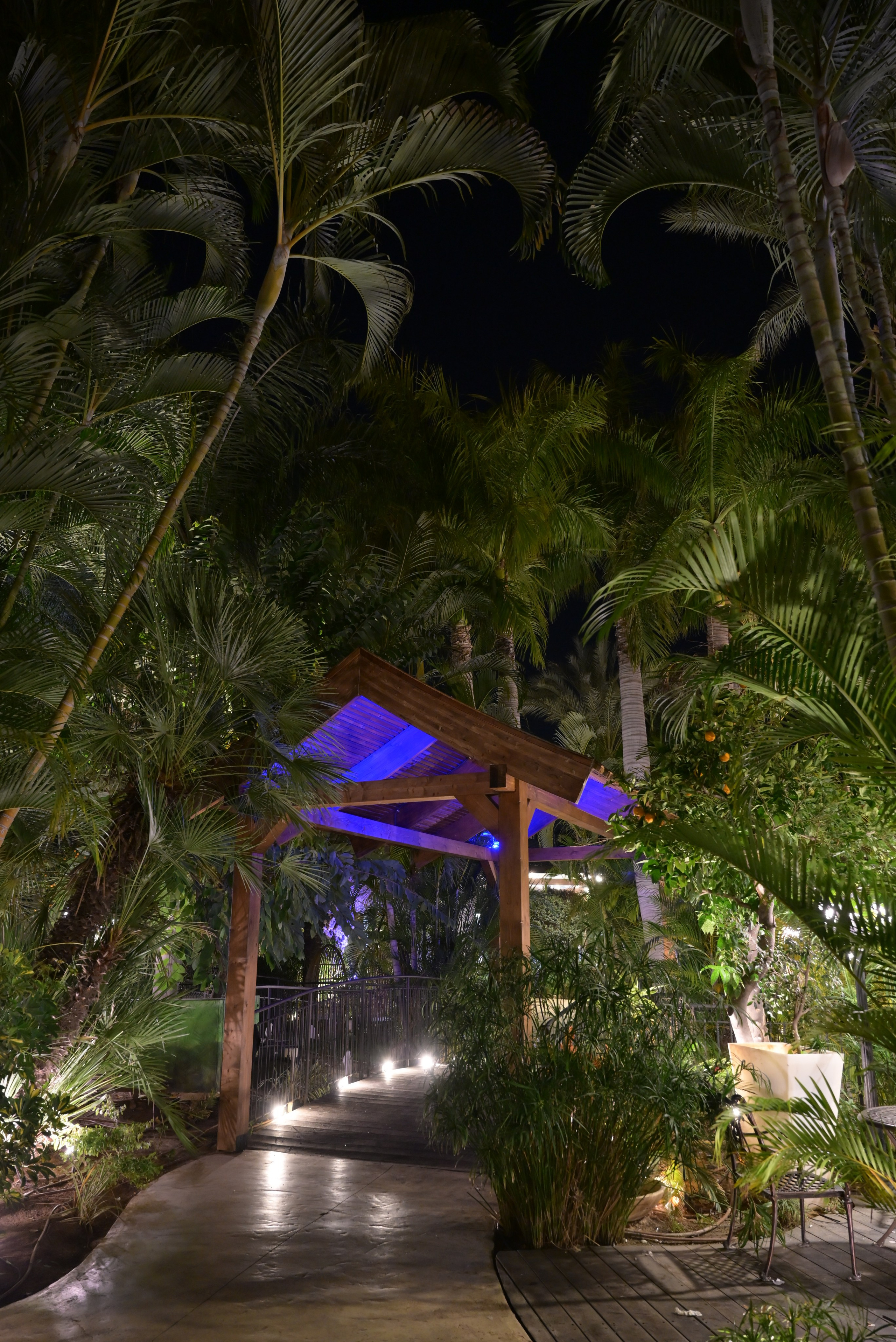 טרויה. Wedding and events photographers Studio Shalom