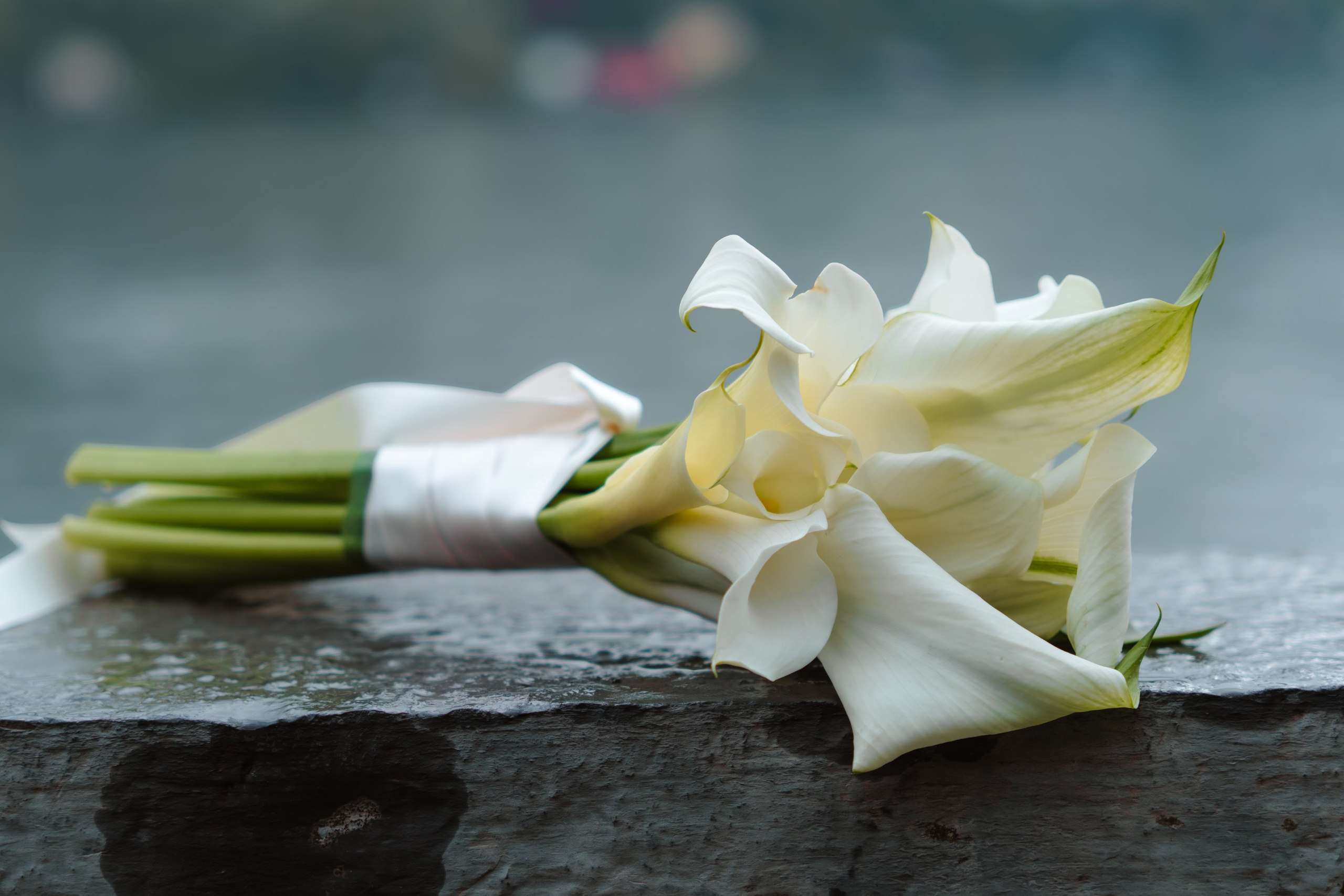 BEATRICE AND RAFAELE_LAKE COMO_Villa Regina Teodolinda. PHOTOGRAPHER IN ITALY