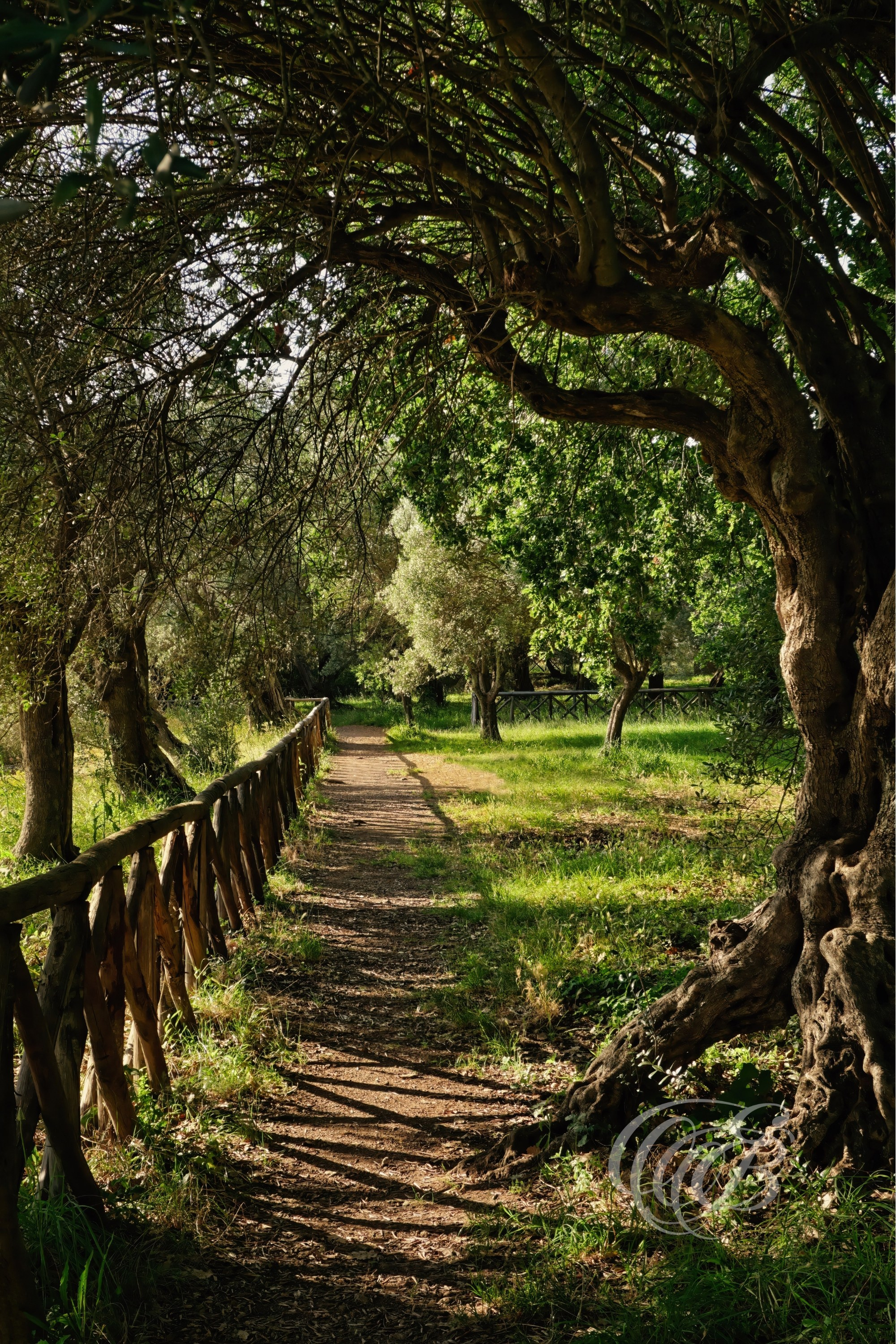 Photography of Italy — Rome, Hadrian’s Villa Praetorium Rooftop View — Eduardo Bartoli Fine Art & Travel Photography