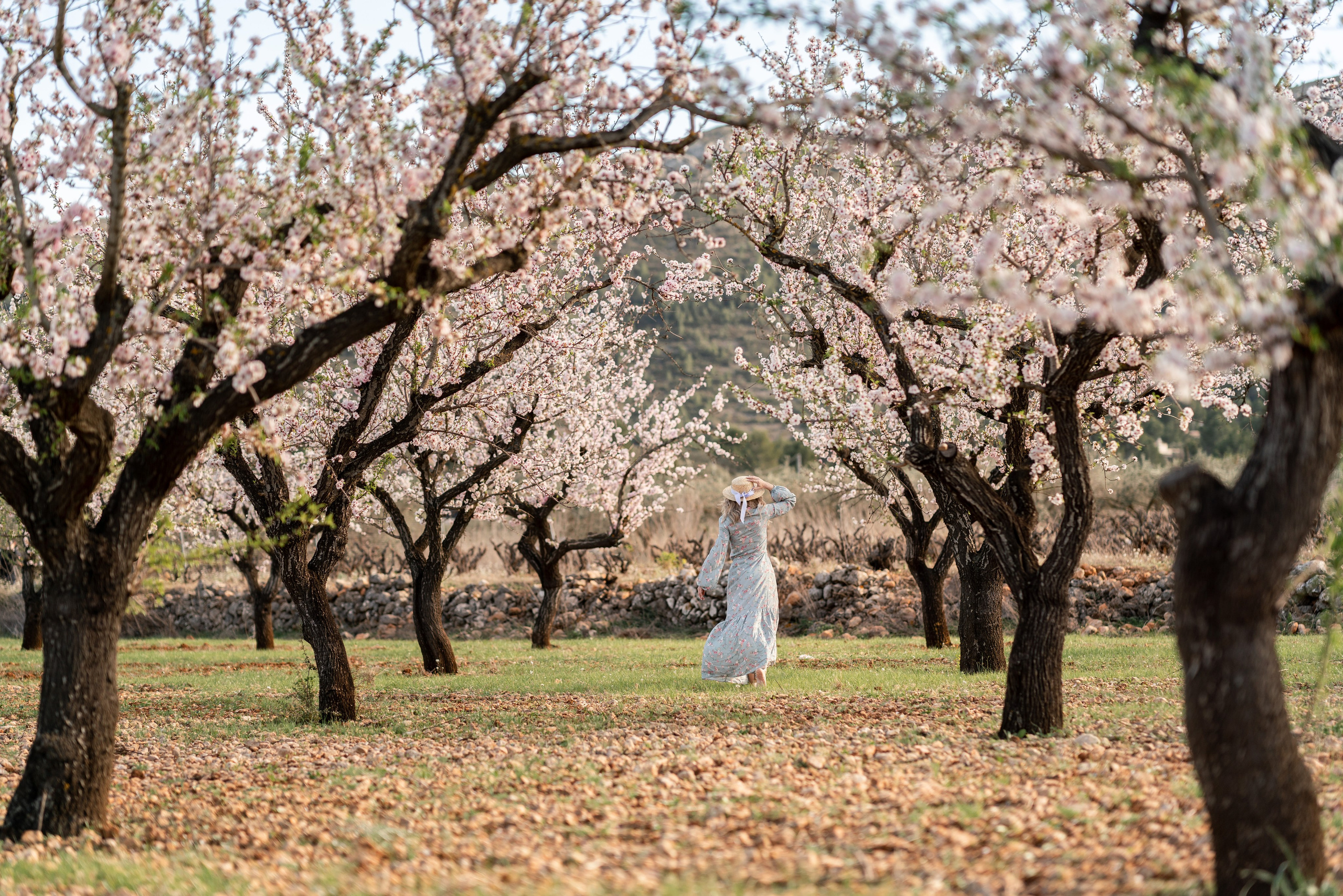 El florecer de los almendros. Fotografía Infantil, Familiar y Personal en Benidorm y Costa Blanca Anastasiya López