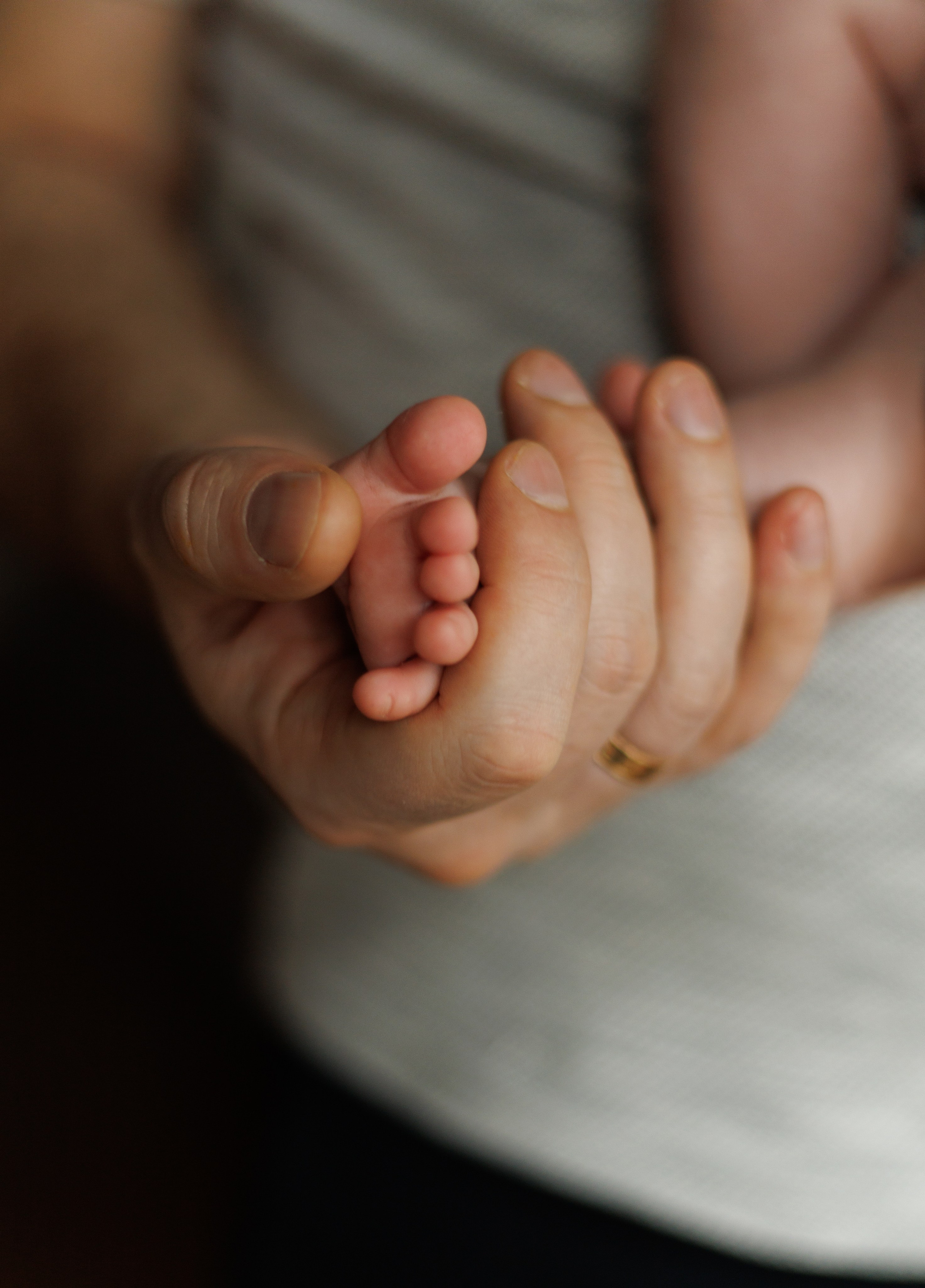 LĪVAS ģimene. GALVENĀ