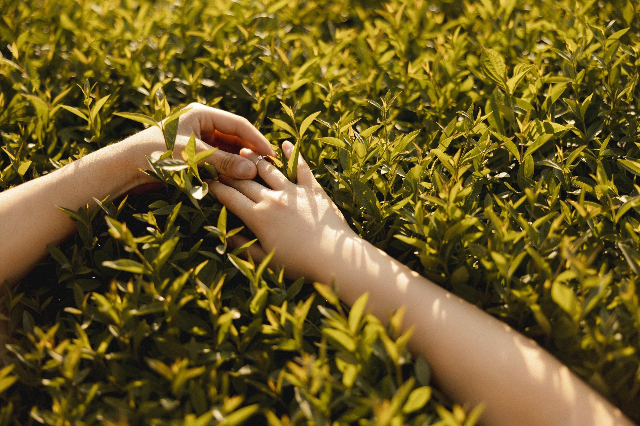 Медер и Айжан. Азимжан Нуритдинходжаев — свадебный фотограф