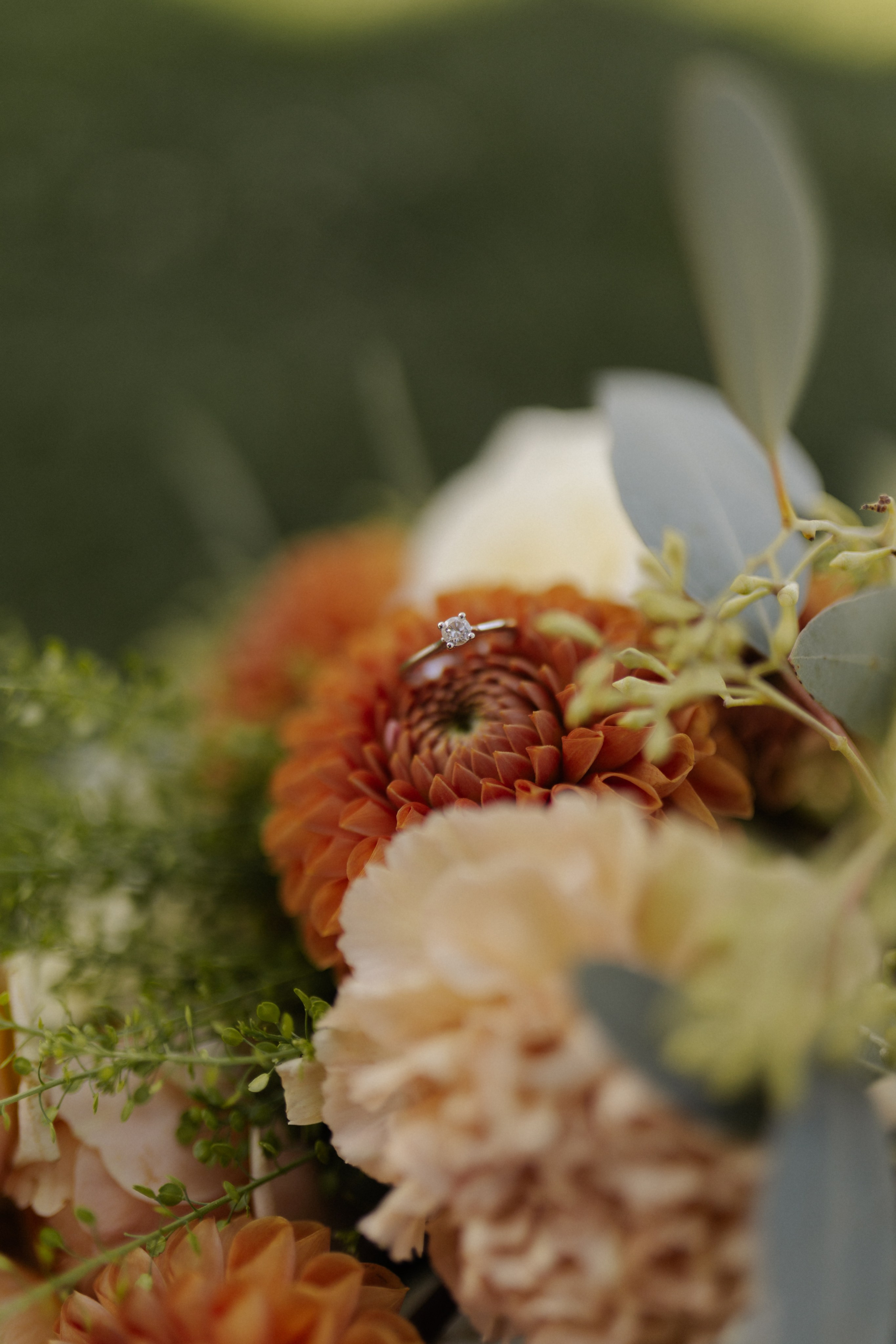 Wedding at Province Timisoara | Cristina & Robert. Wedding photographer and videographer based in Timisoara, Romania