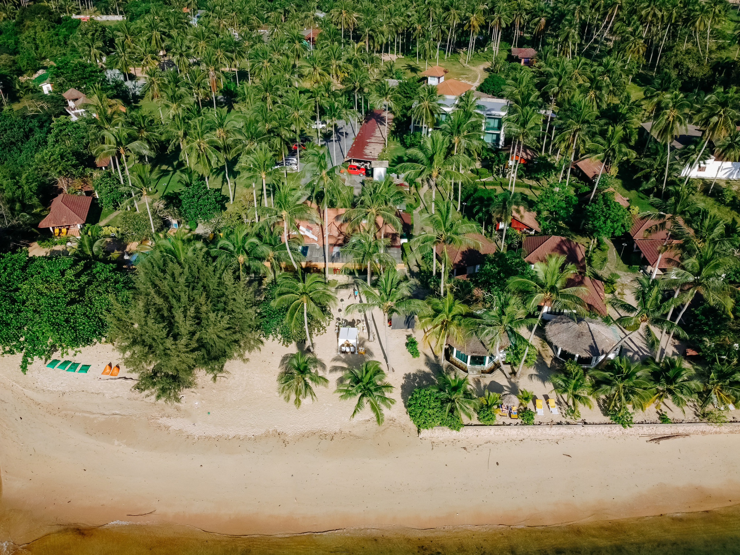 Grace & Martin 03.11.2024. Wedding on Koh Samui, Thailand