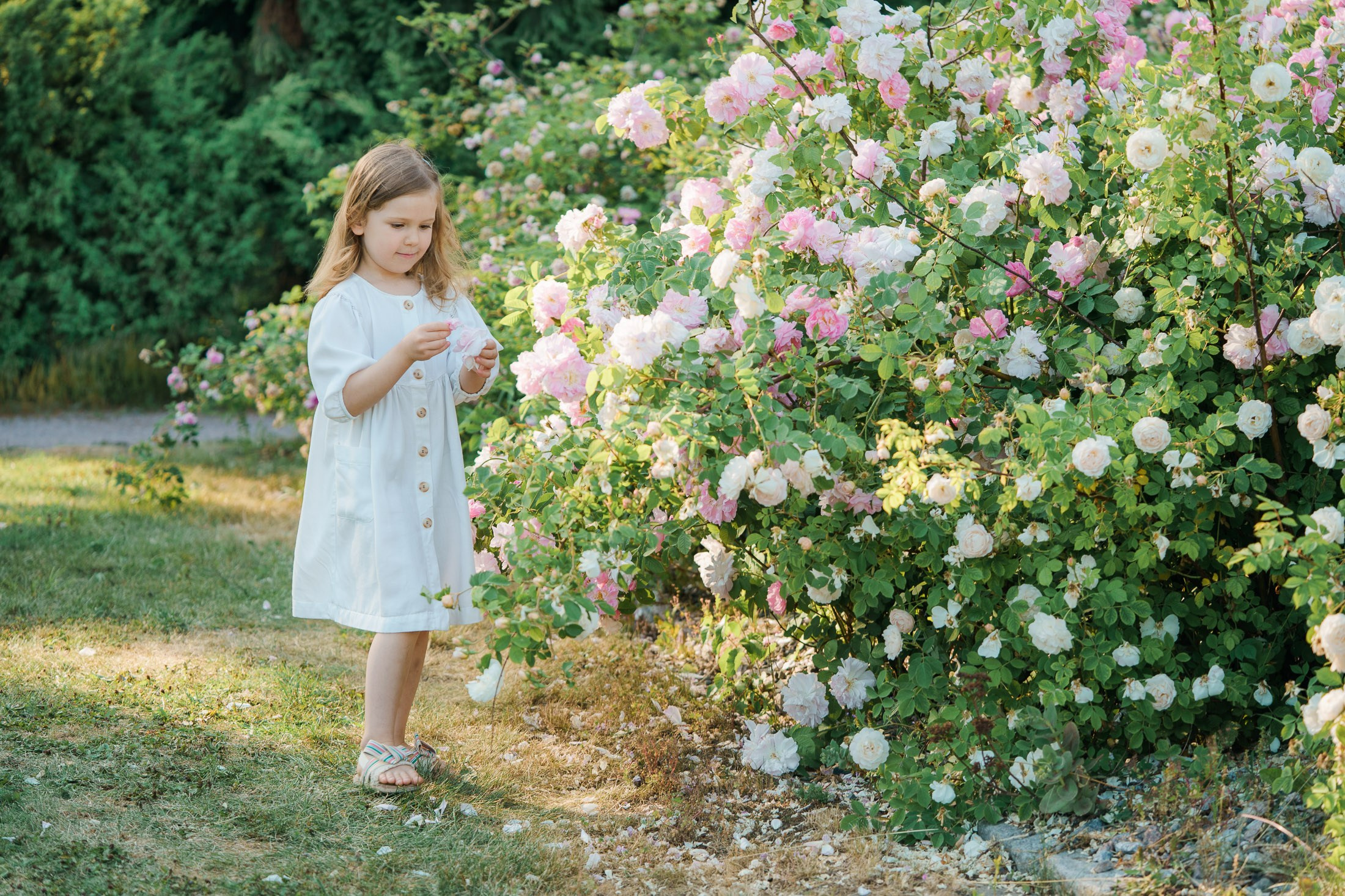 Äiti-lapsikuvaus Helsingin ruusutarhassa