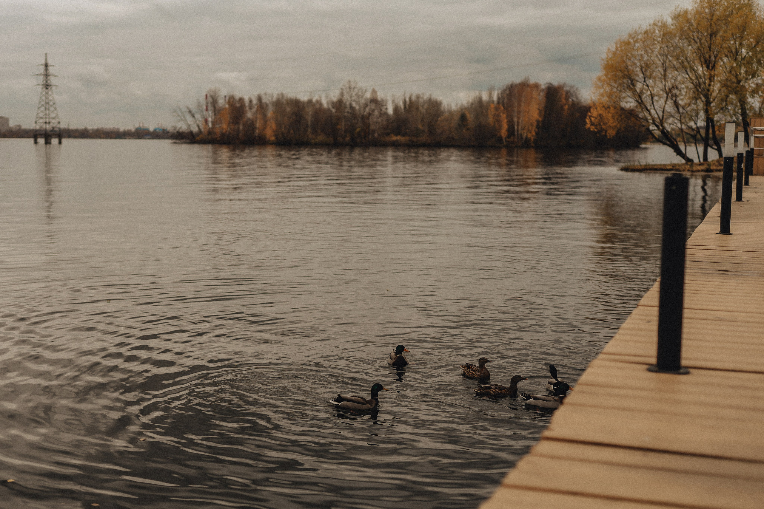 Wedding. Ellen Litvinova photography