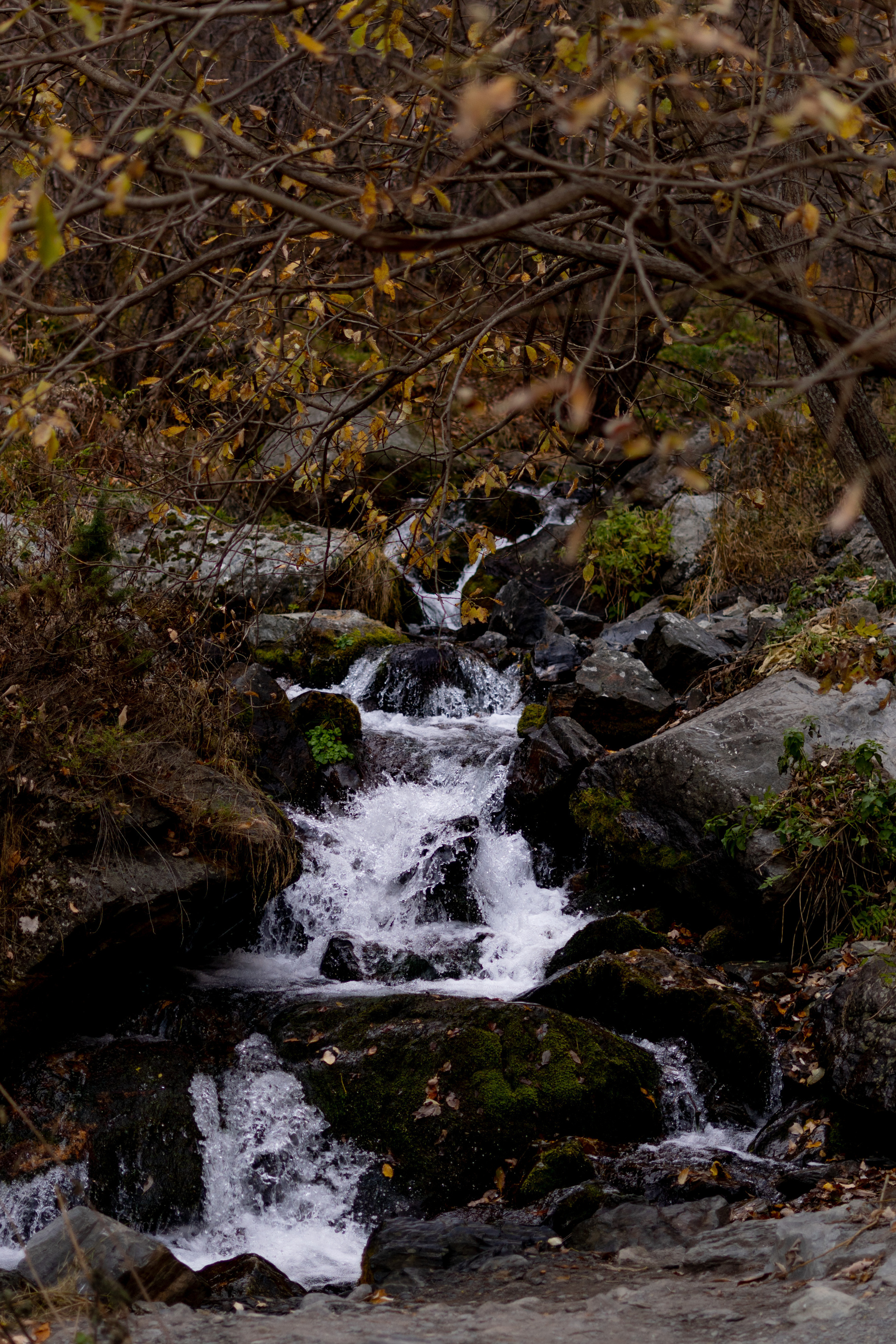 Georgia. VALERIYA ERMOLAEVA PHOTOGRAPHER IN VALENCIA, SPAIN
