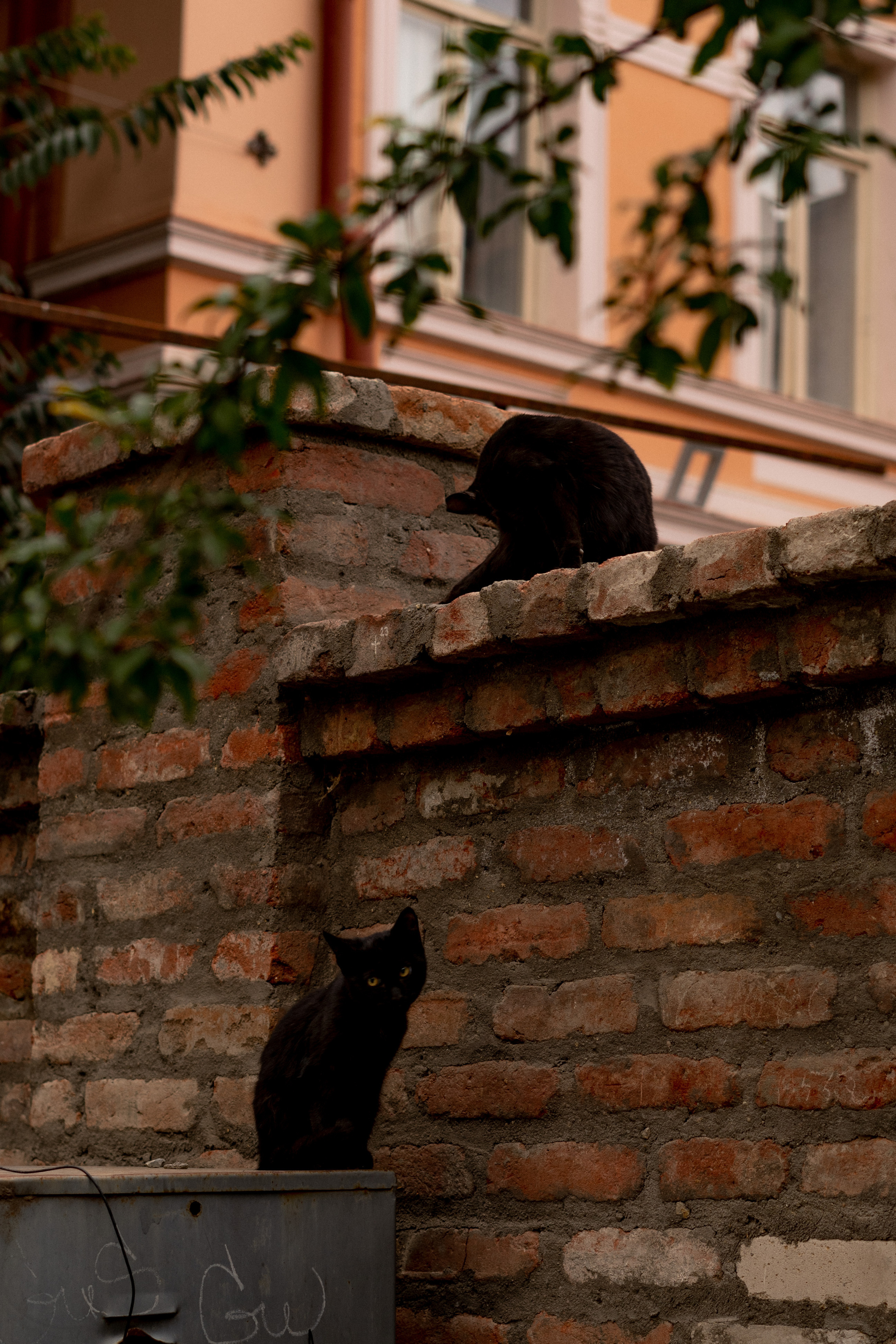 Georgia. VALERIYA ERMOLAEVA PHOTOGRAPHER IN VALENCIA, SPAIN