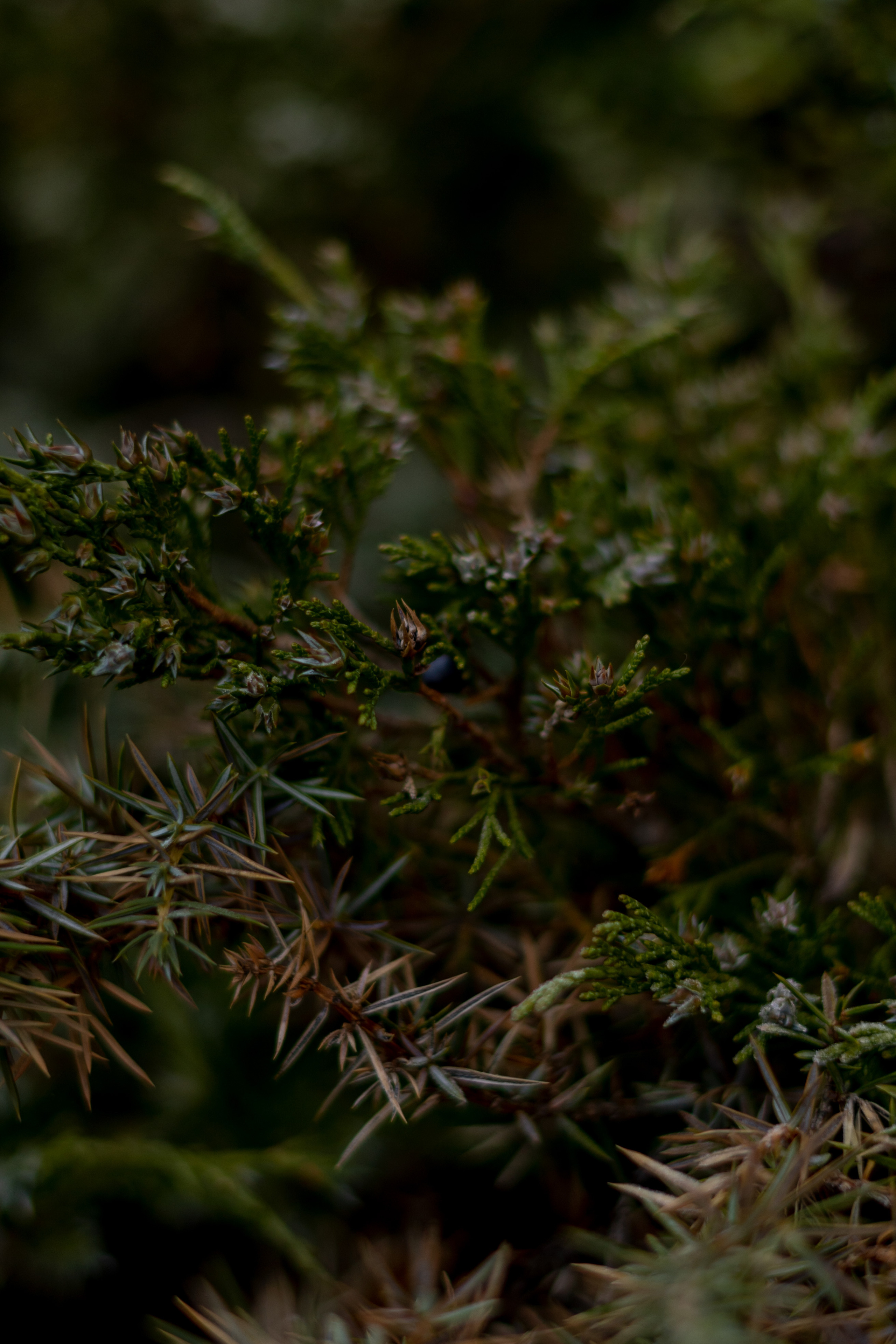 Georgia. VALERIYA ERMOLAEVA PHOTOGRAPHER IN VALENCIA, SPAIN