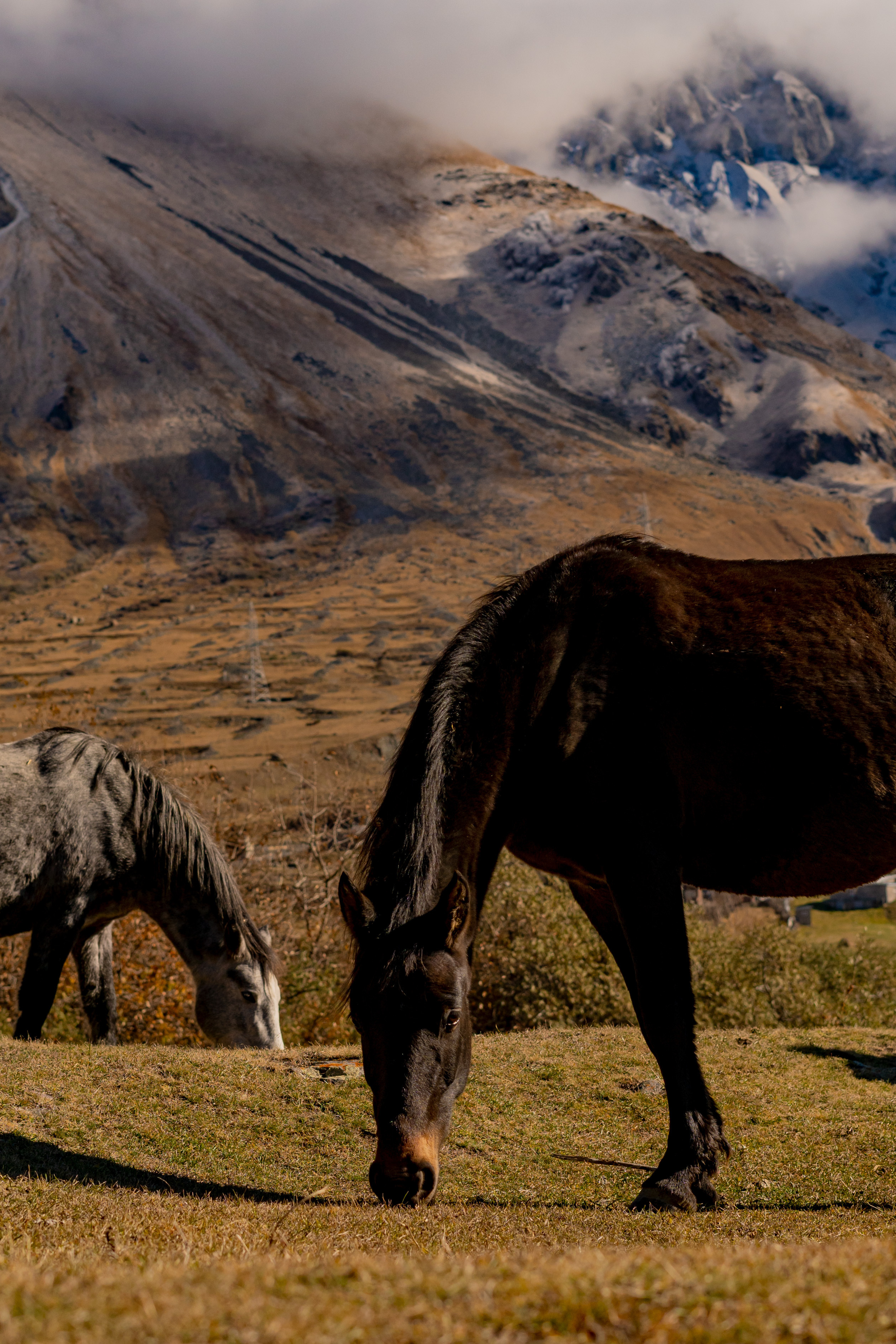 Georgia. VALERIYA ERMOLAEVA PHOTOGRAPHER IN VALENCIA, SPAIN
