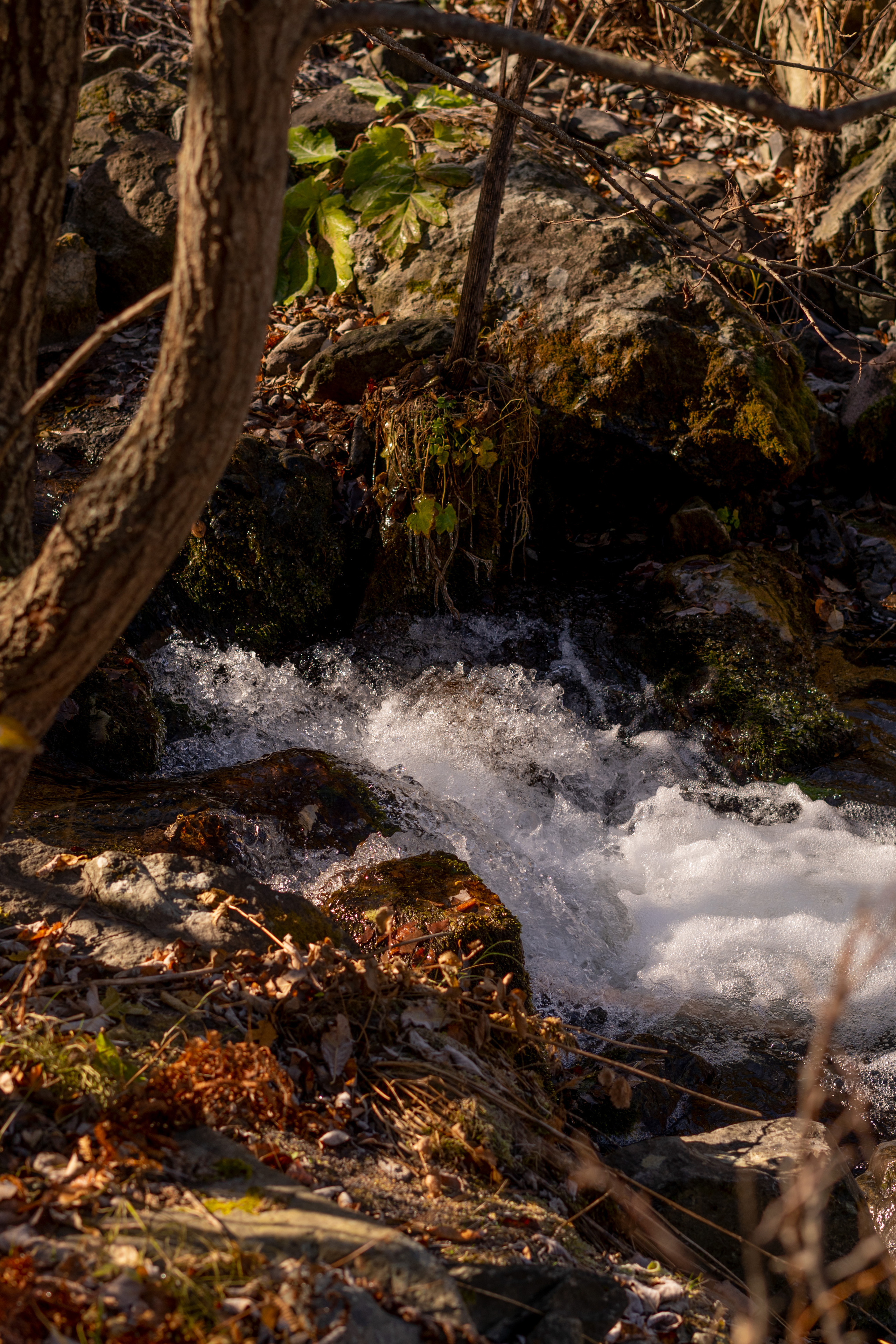 Georgia. VALERIYA ERMOLAEVA PHOTOGRAPHER IN VALENCIA, SPAIN