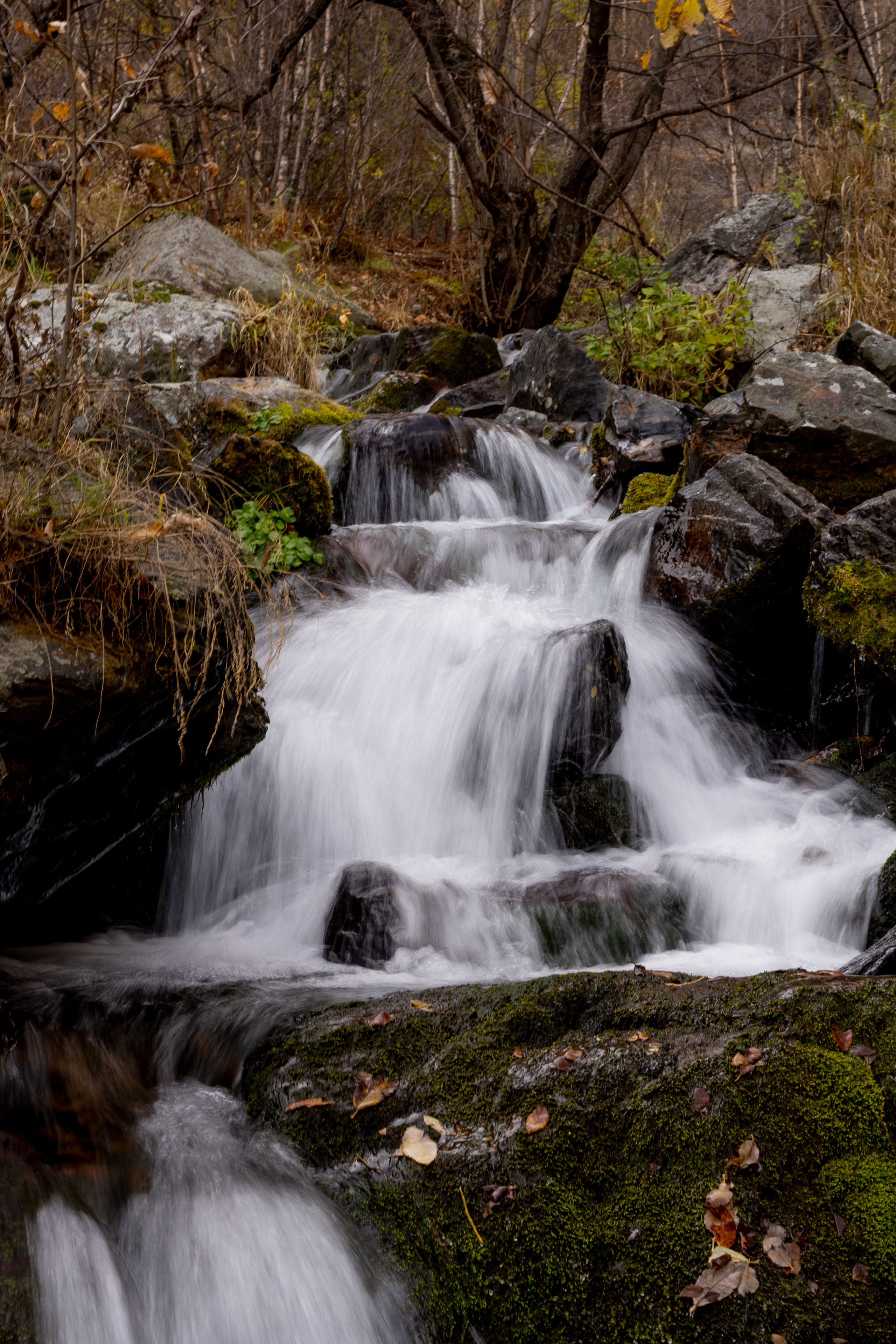 Georgia. VALERIYA ERMOLAEVA PHOTOGRAPHER IN VALENCIA, SPAIN