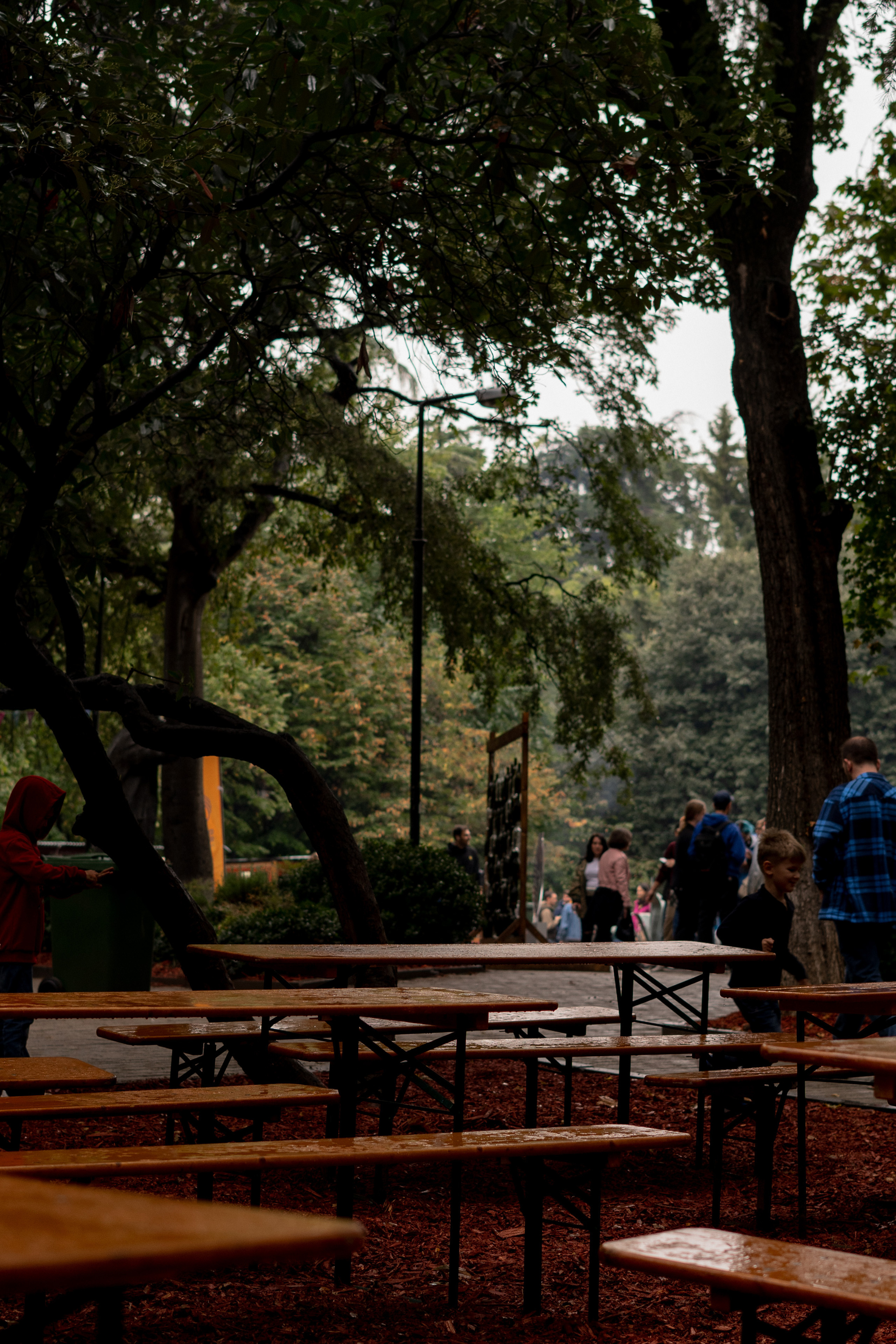 Georgia. VALERIYA ERMOLAEVA PHOTOGRAPHER IN VALENCIA, SPAIN