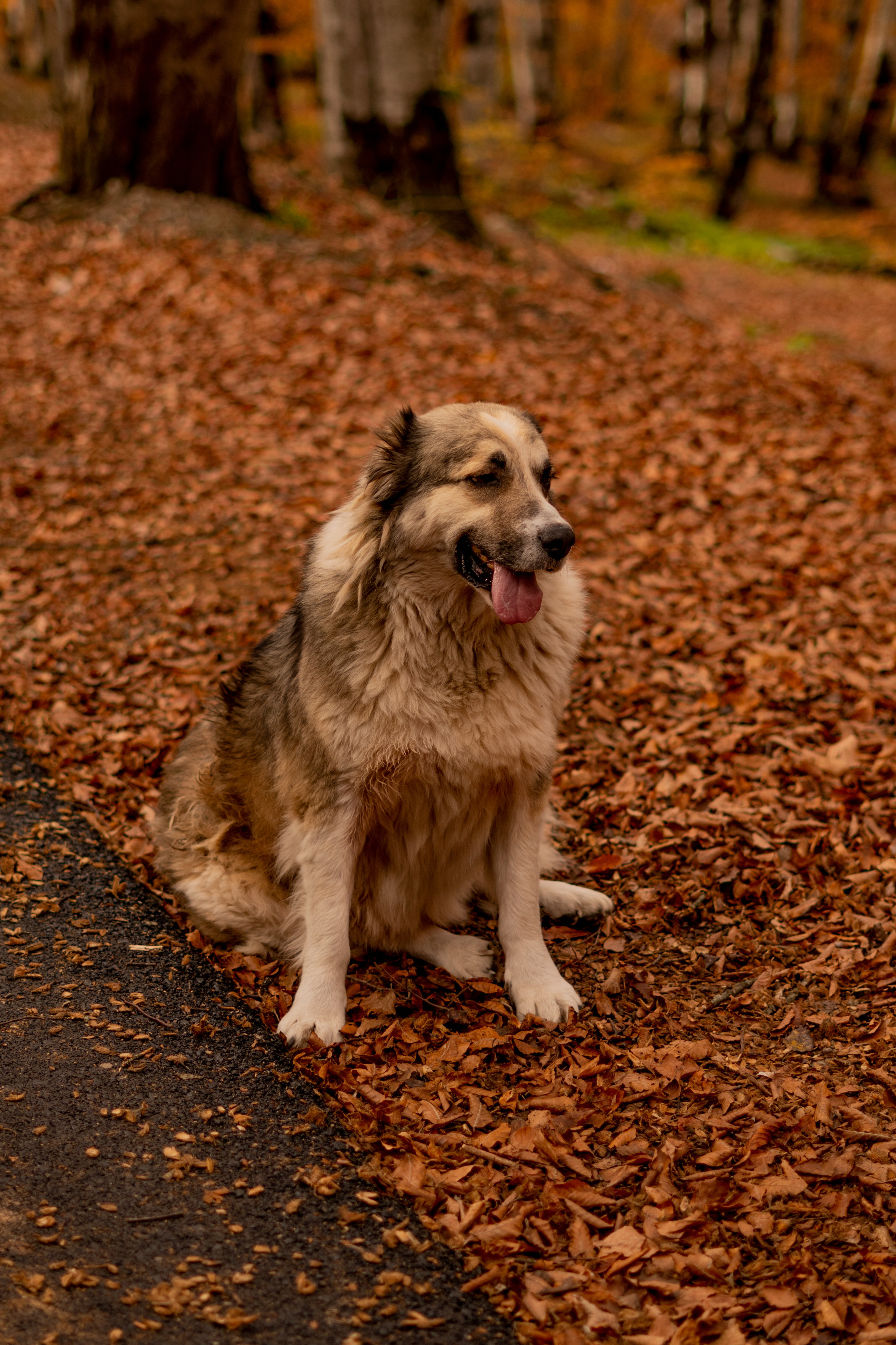 Georgia. VALERIYA ERMOLAEVA PHOTOGRAPHER IN VALENCIA, SPAIN