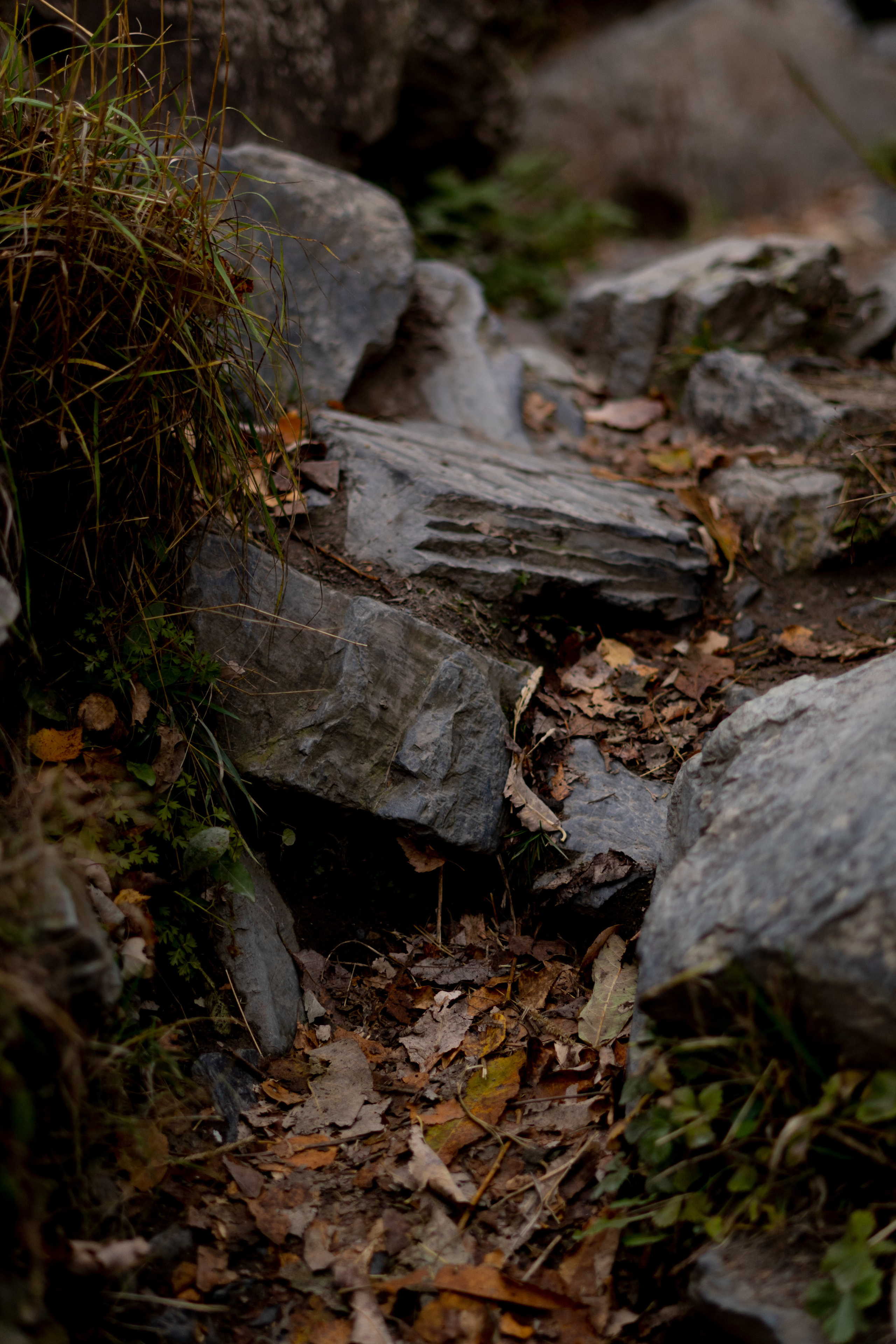 Georgia. VALERIYA ERMOLAEVA PHOTOGRAPHER IN VALENCIA, SPAIN
