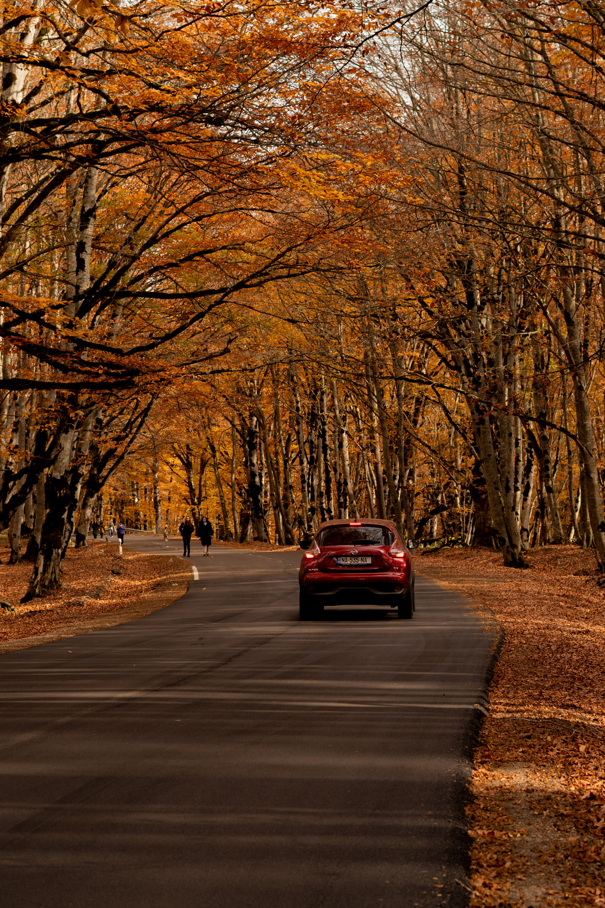 Georgia. VALERIYA ERMOLAEVA PHOTOGRAPHER IN VALENCIA, SPAIN