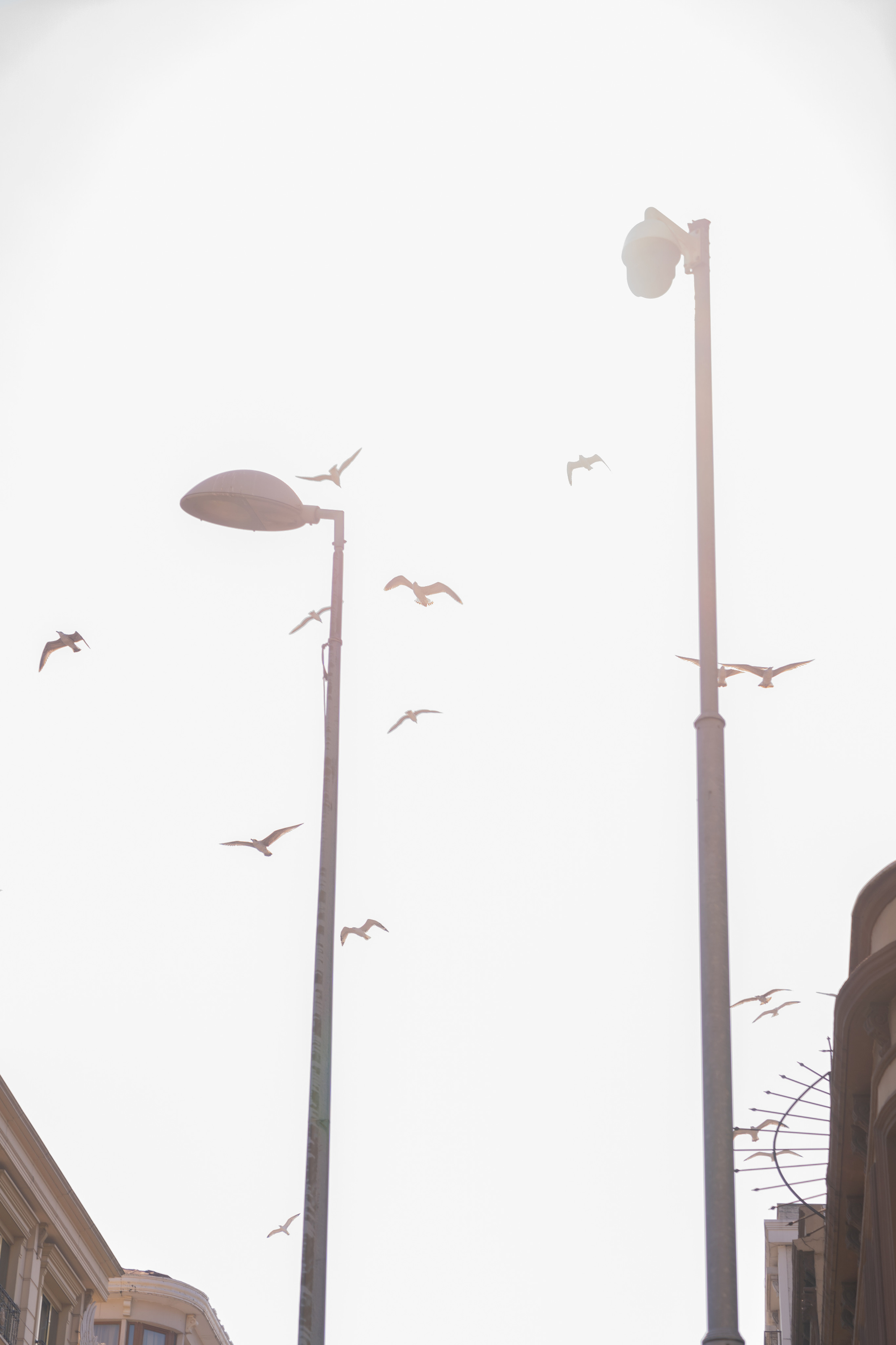 Turkey. VALERIYA ERMOLAEVA PHOTOGRAPHER IN VALENCIA, SPAIN